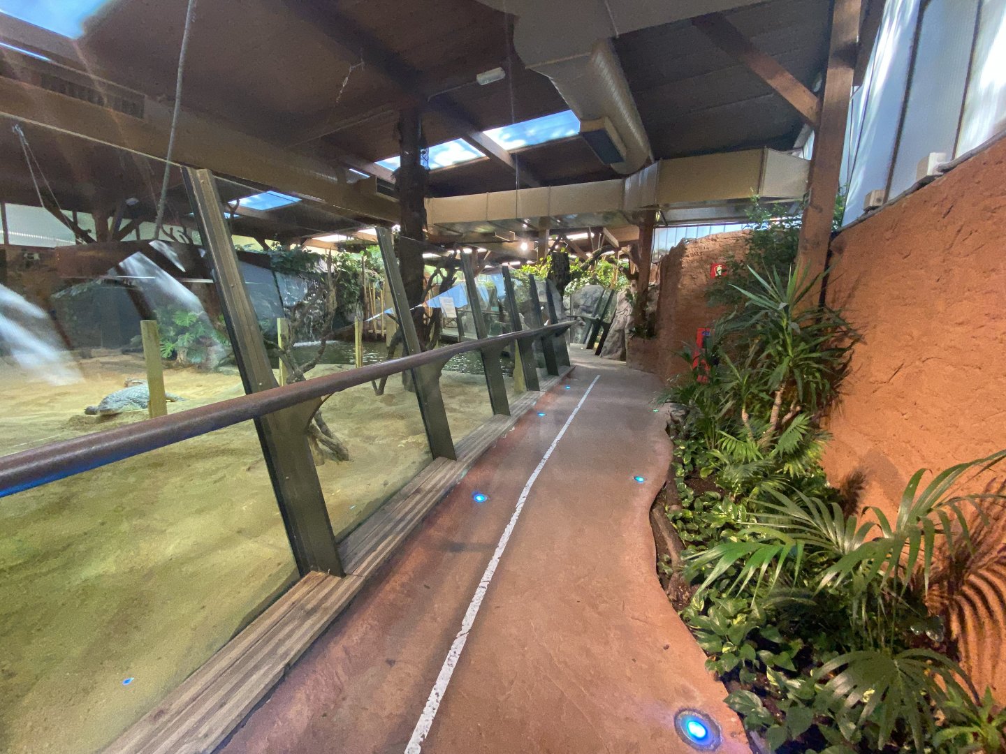 General view of crocodile house 1