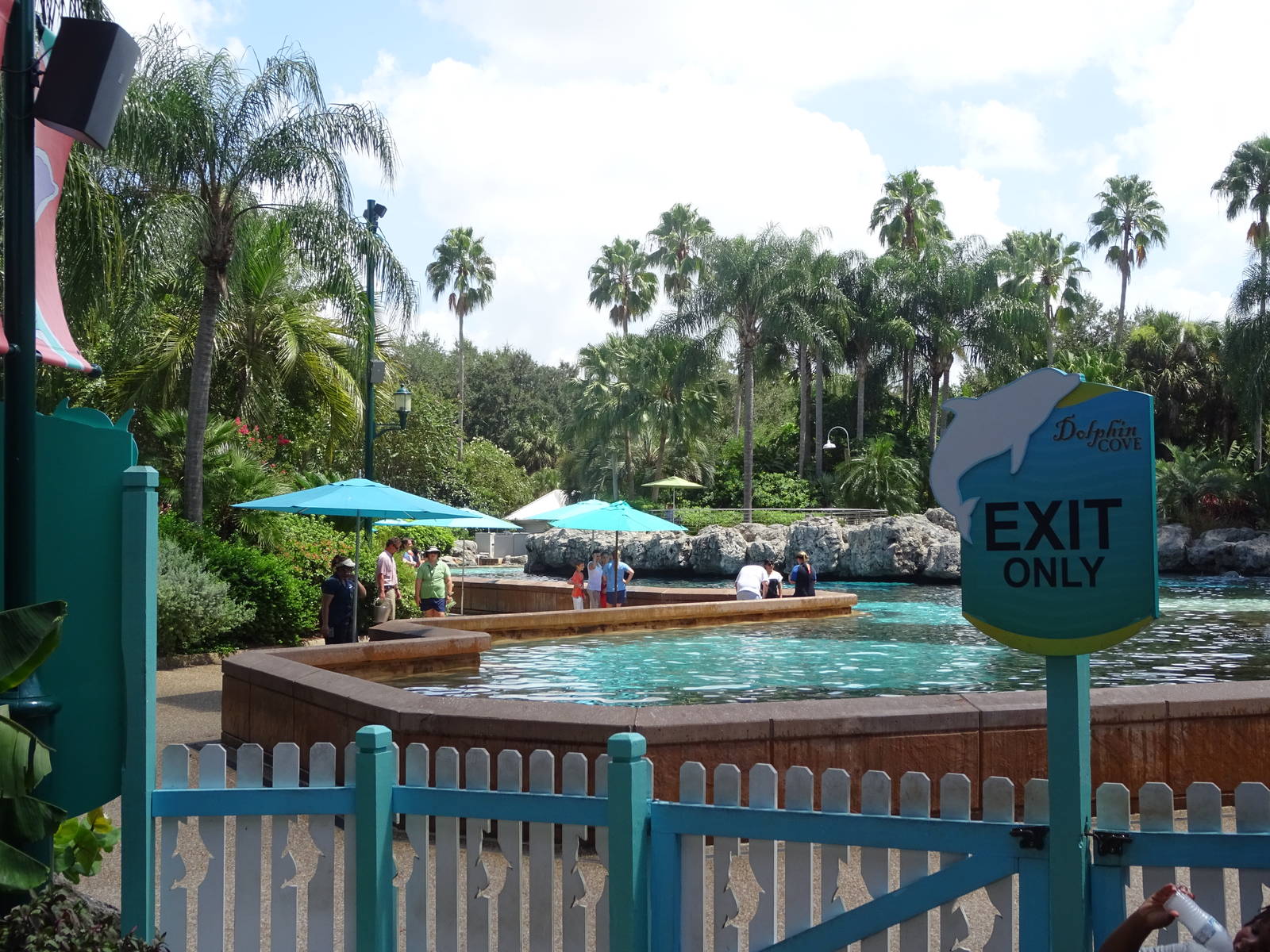General View of Dolphin Cove at SeaWorld Orlando