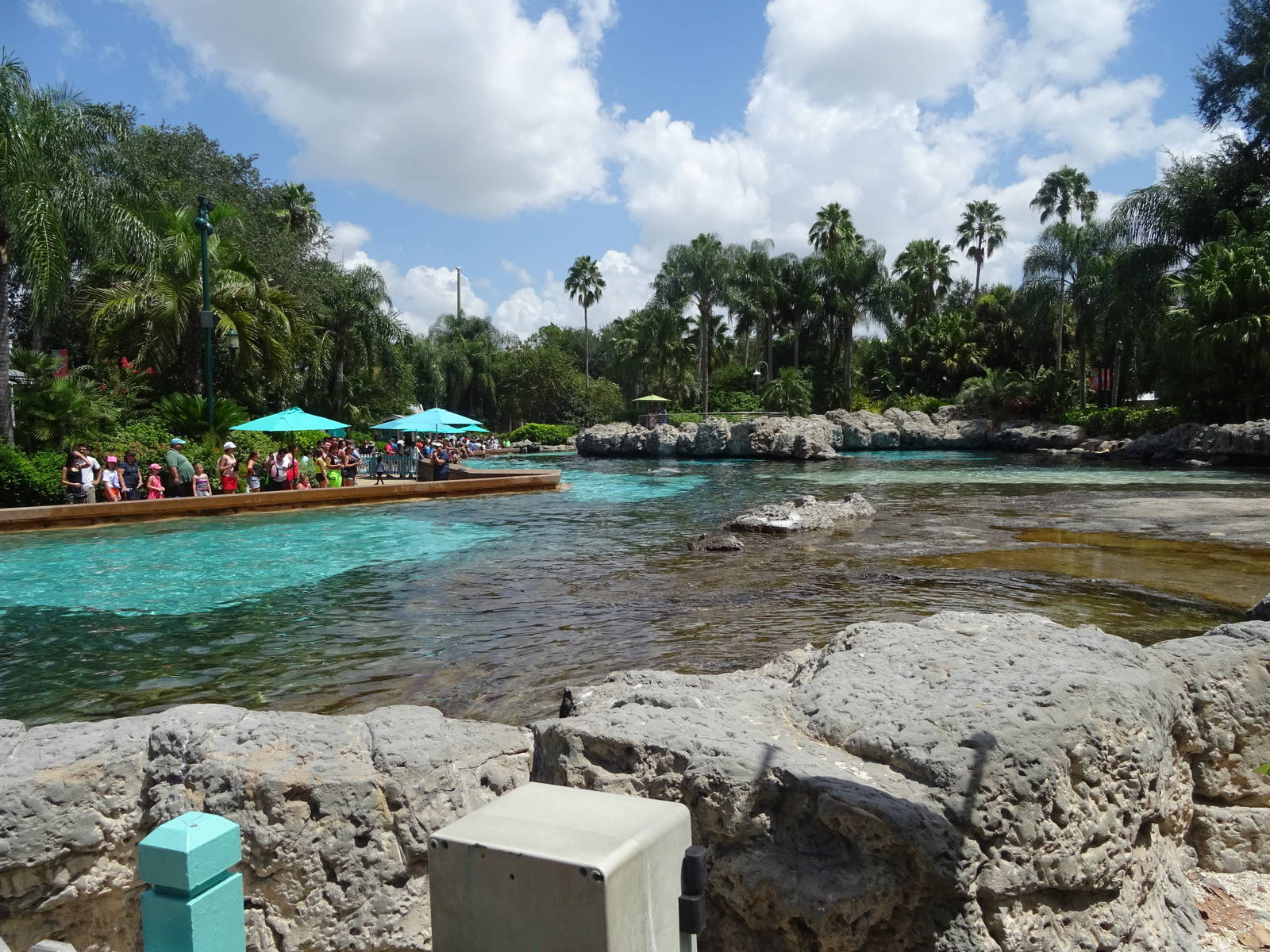 General View of Dolphin Cove at SeaWorld Orlando
