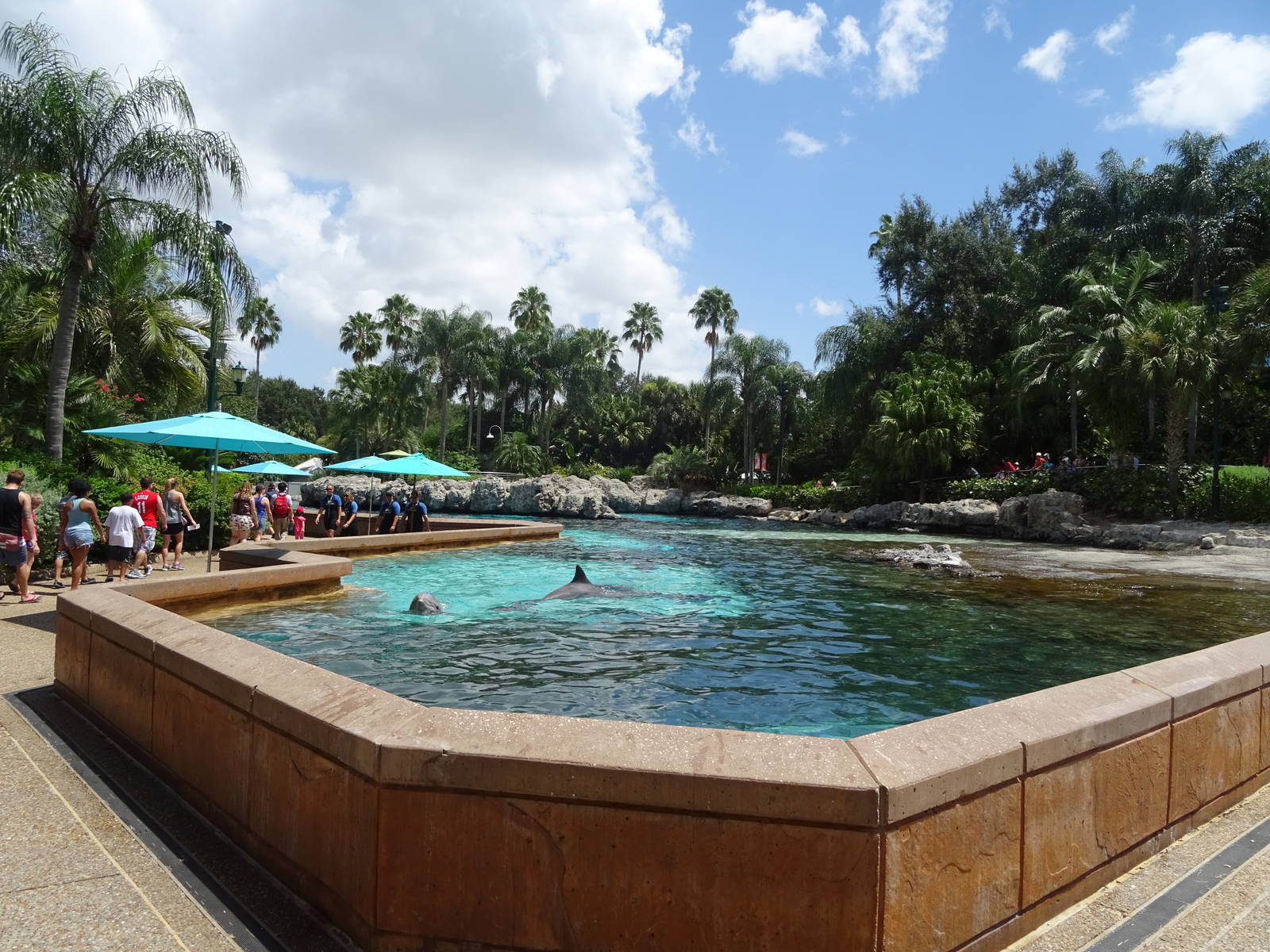 General View of Dolphin Cove at SeaWorld Orlando