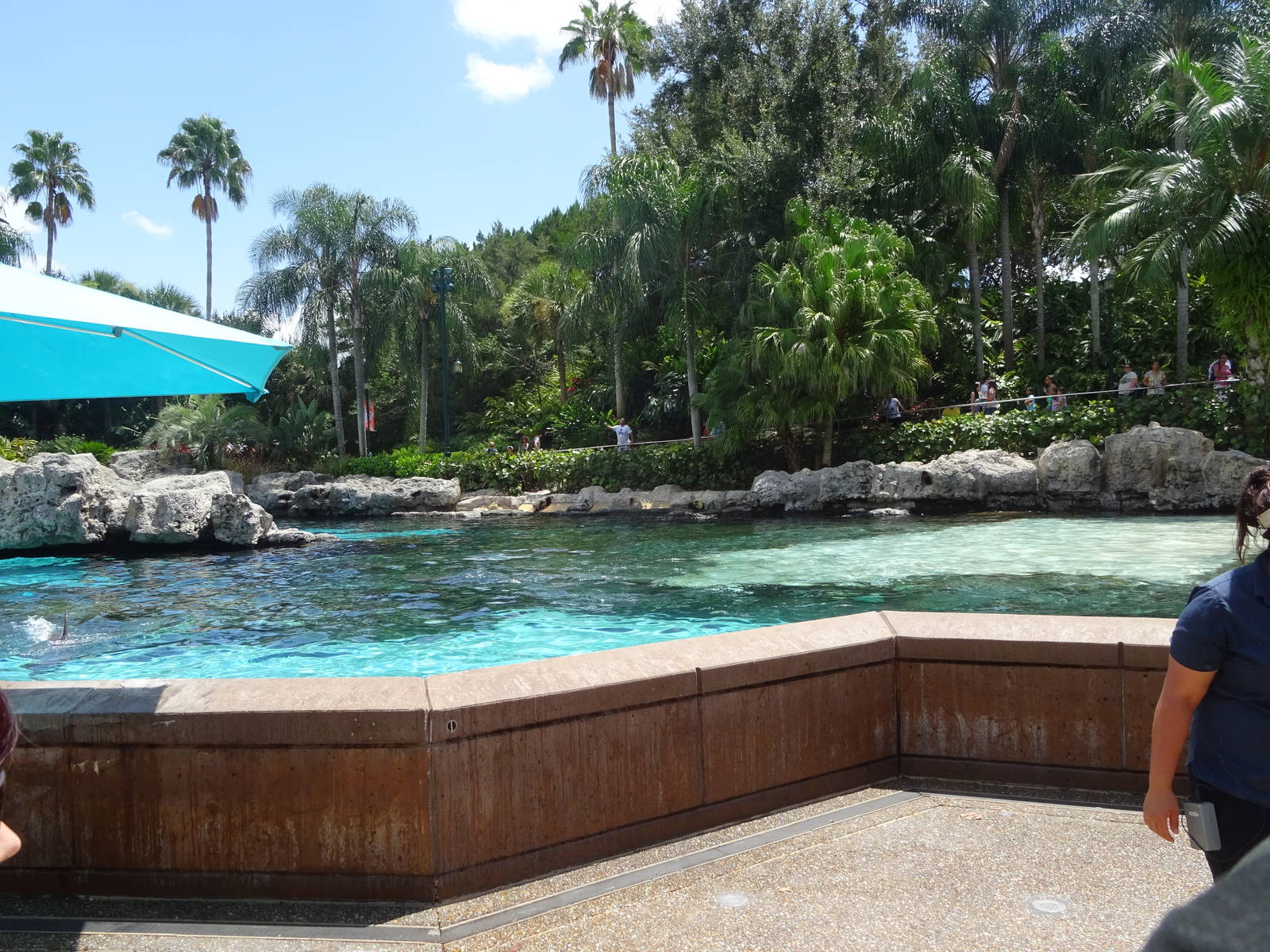 General View of Dolphin Cove at SeaWorld Orlando