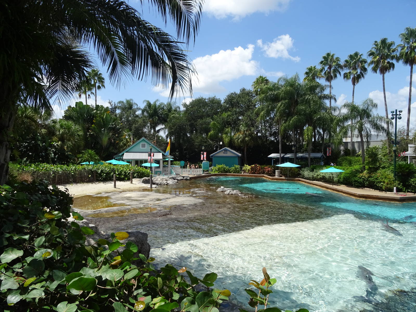 General View of Dolphin Cove at SeaWorld Orlando