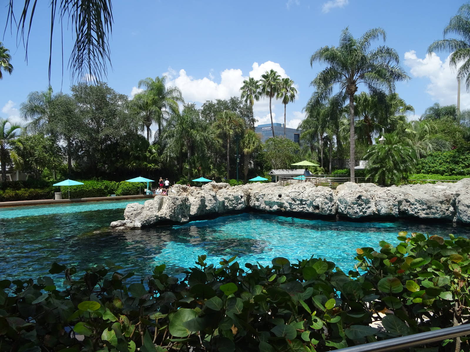 General View of Dolphin Cove at SeaWorld Orlando