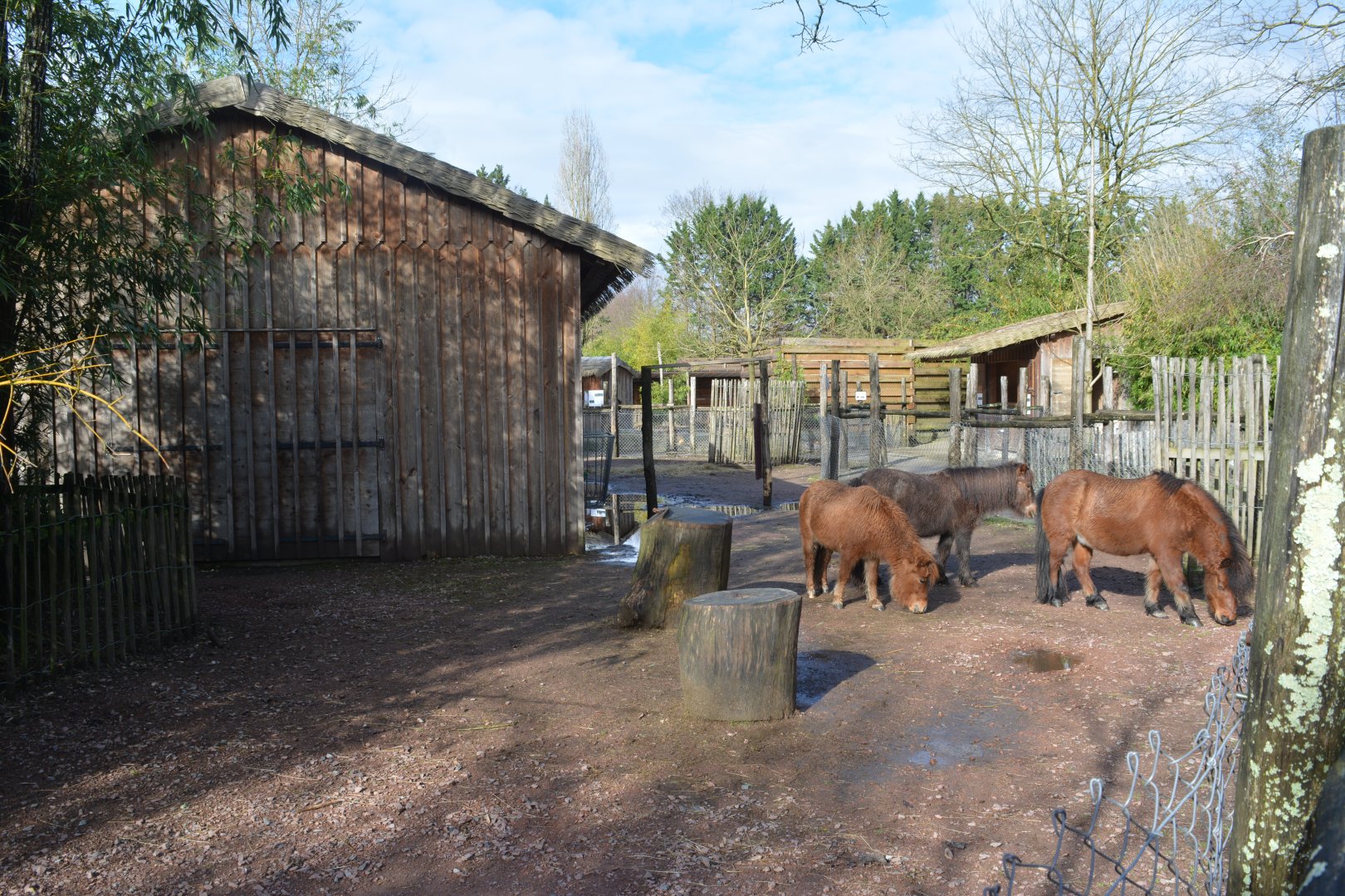 General view of domestic animals area