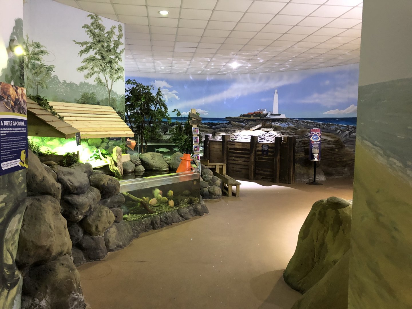General View of First Exhibits at Tynemouth Aquarium (2019)