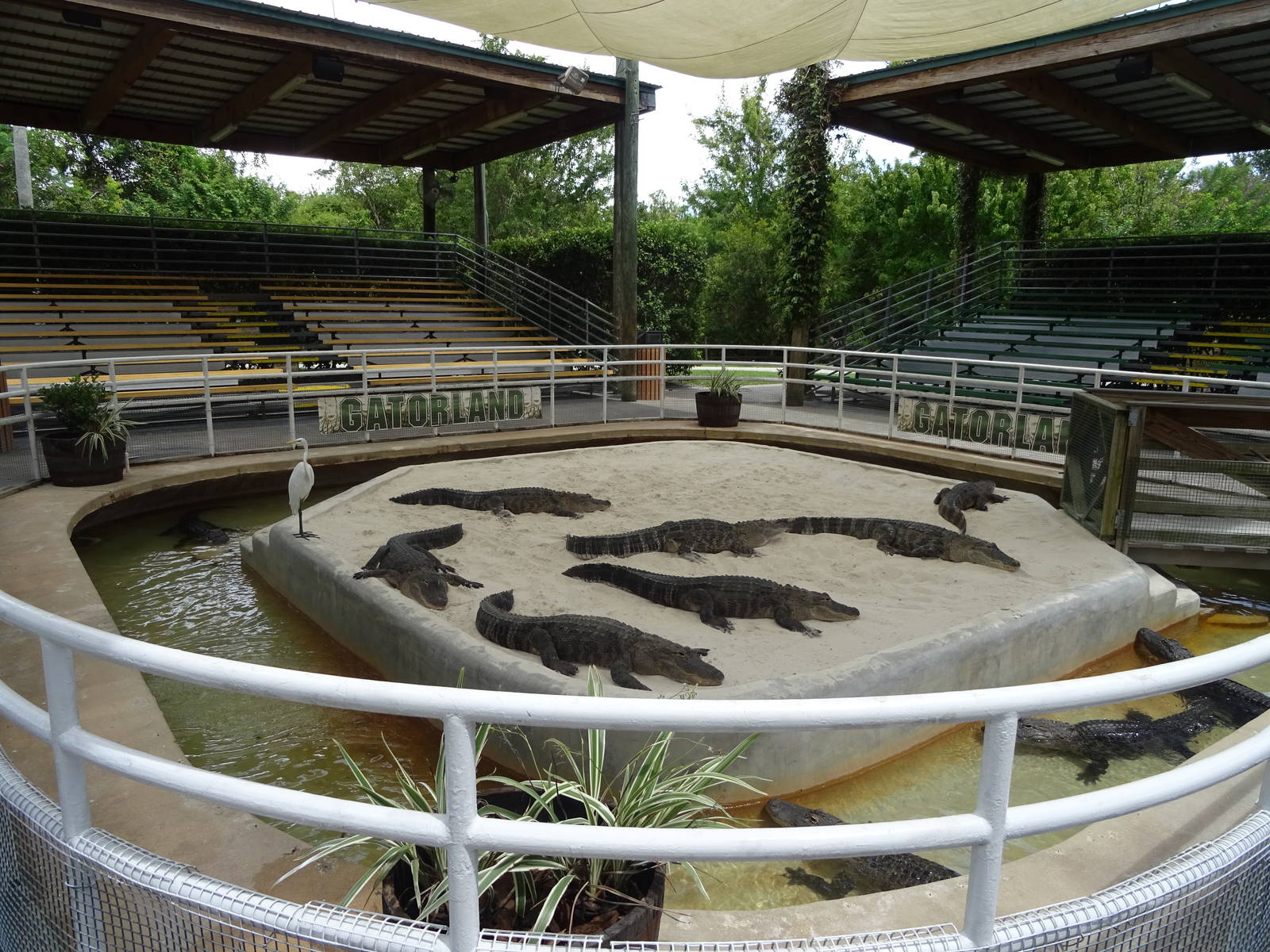 General View of Gator Wrestling Stadium at Gatorland