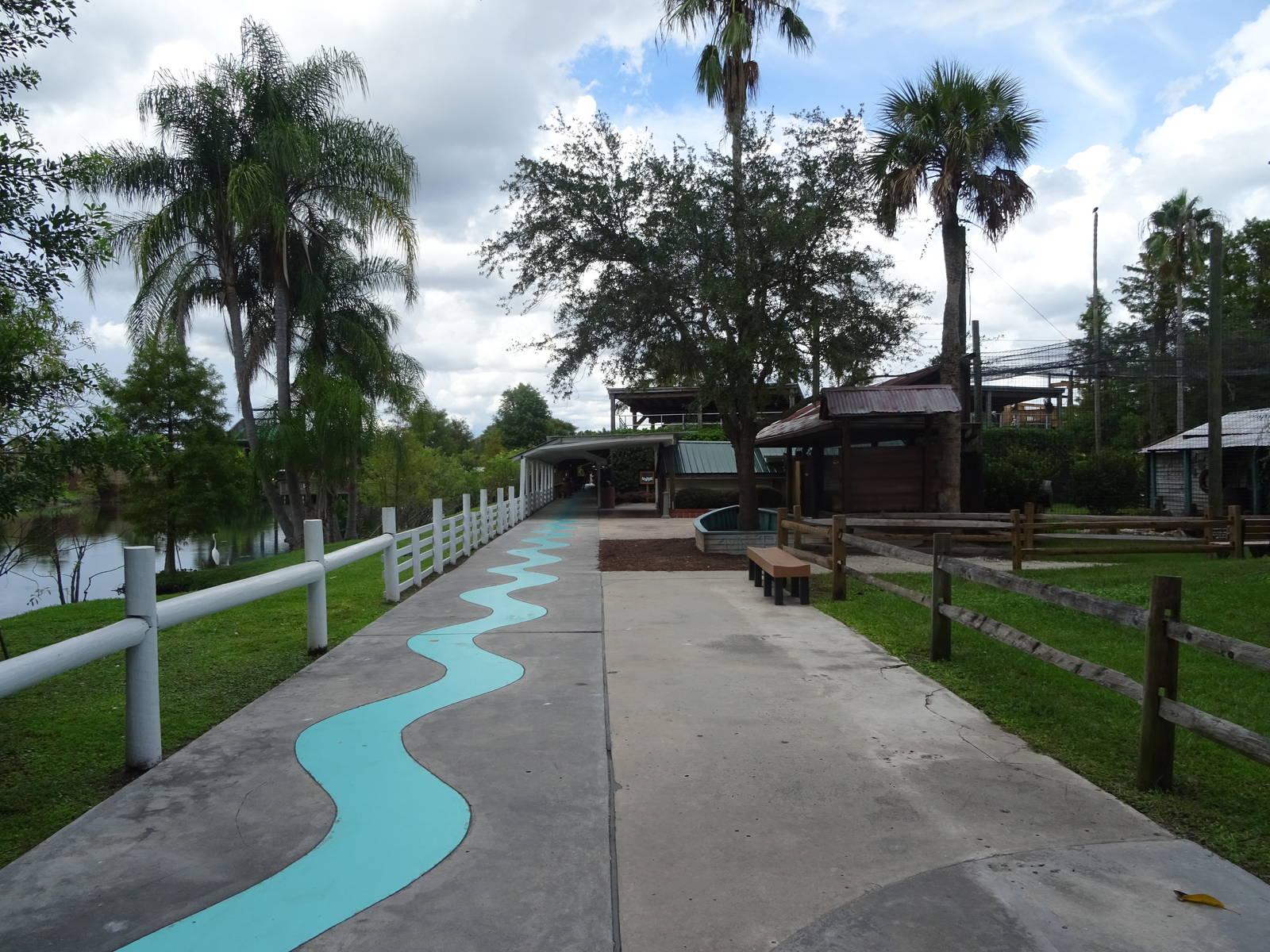 General View of Gatorland