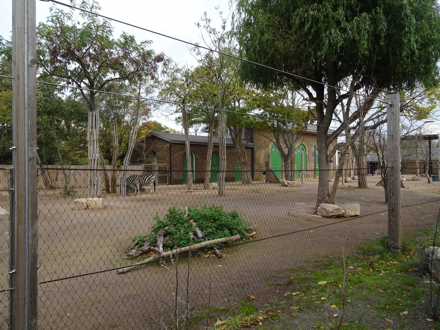 General view of Giraffe House