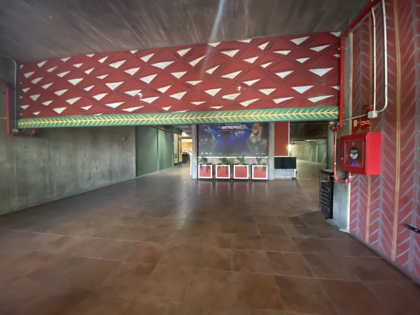 General view of gorilla house