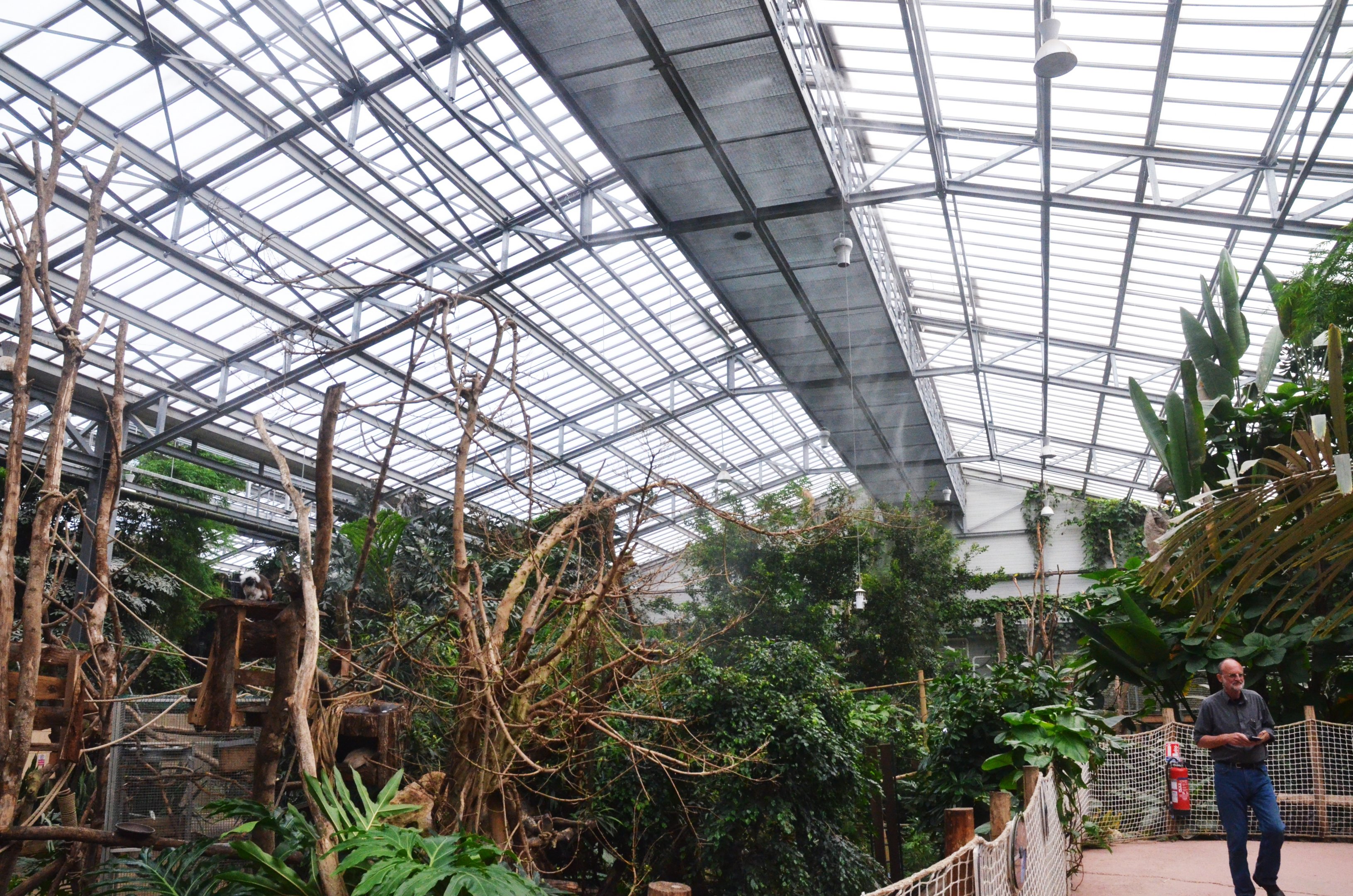 General View of Greenhouse at Biotropica, 16/06/18