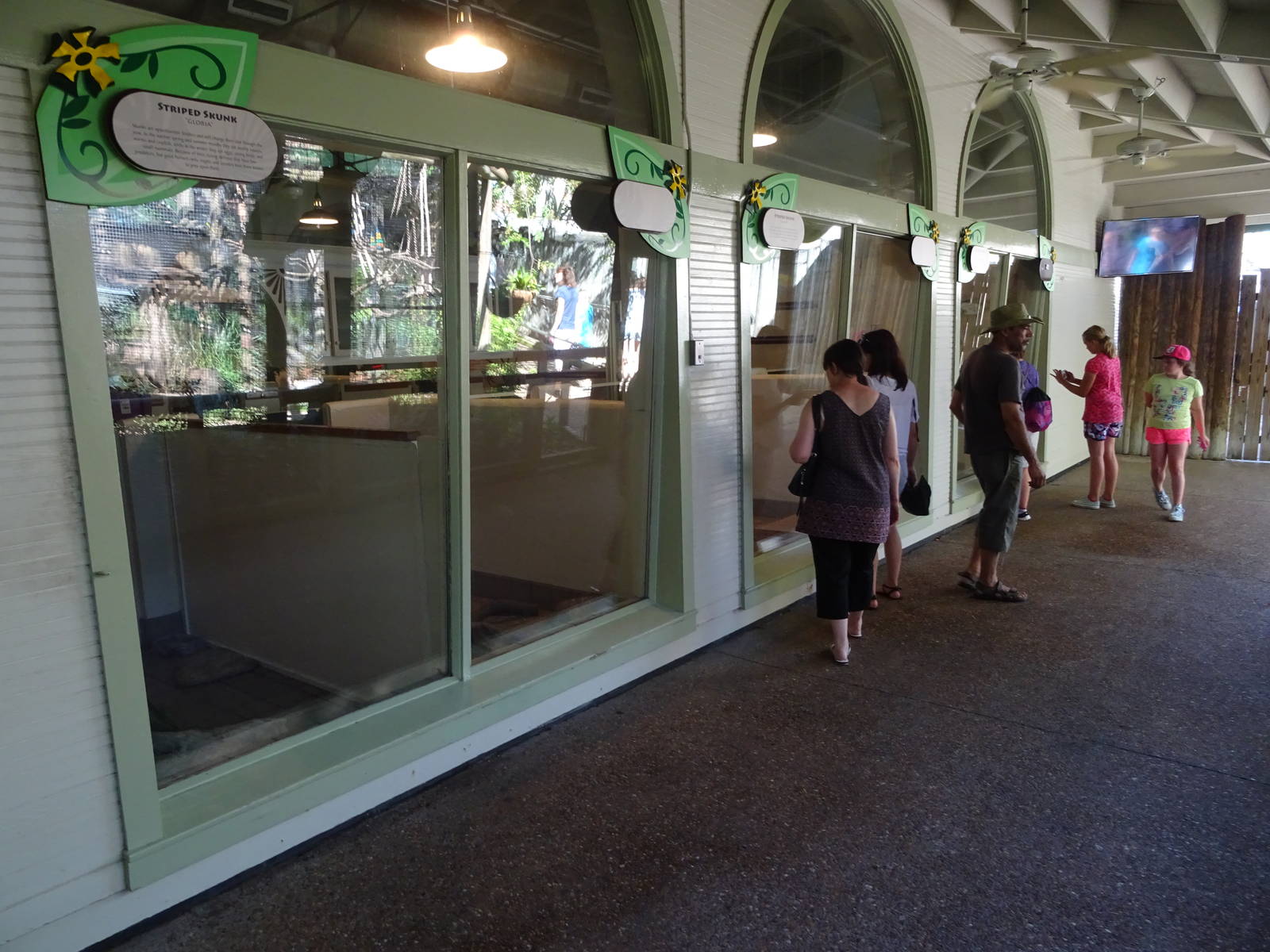 General View of Jamba Junction at Busch Gardens Tampa