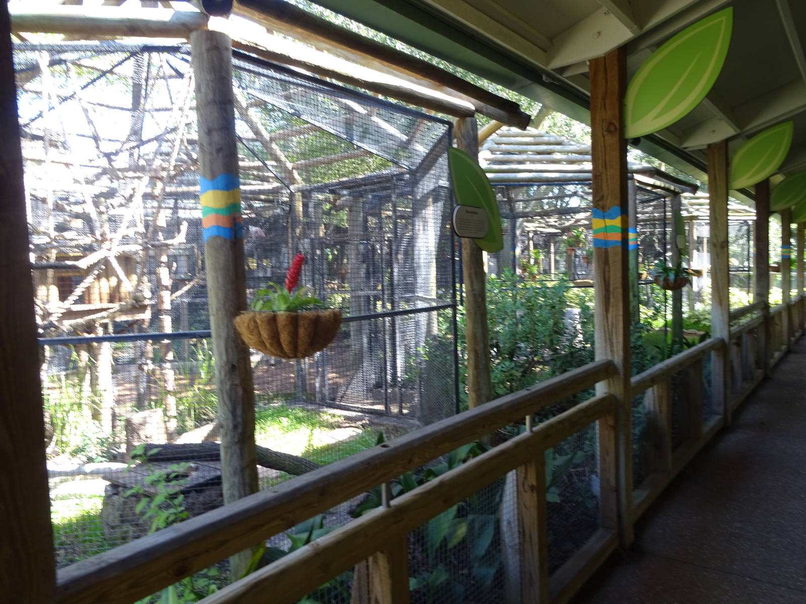 General View of Jamba Junction at Busch Gardens Tampa