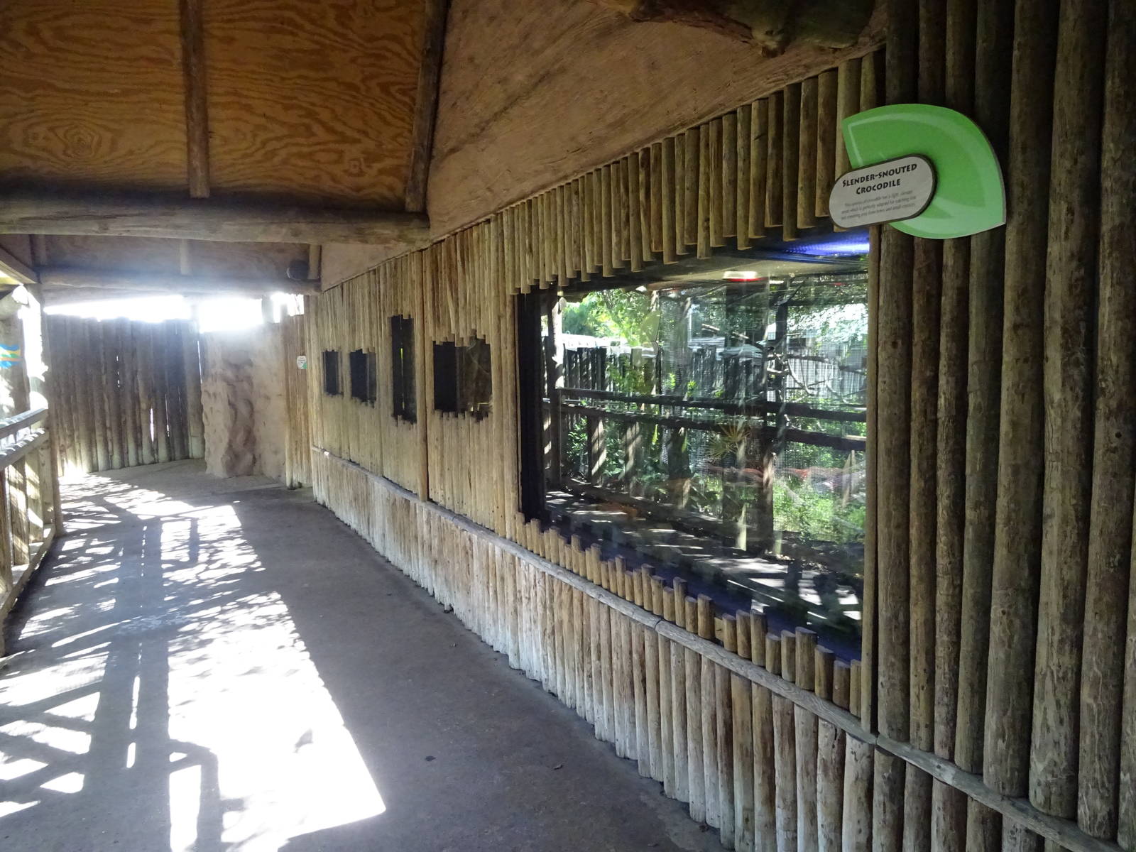 General View of Jambo Junction at Busch Gardens Tampa