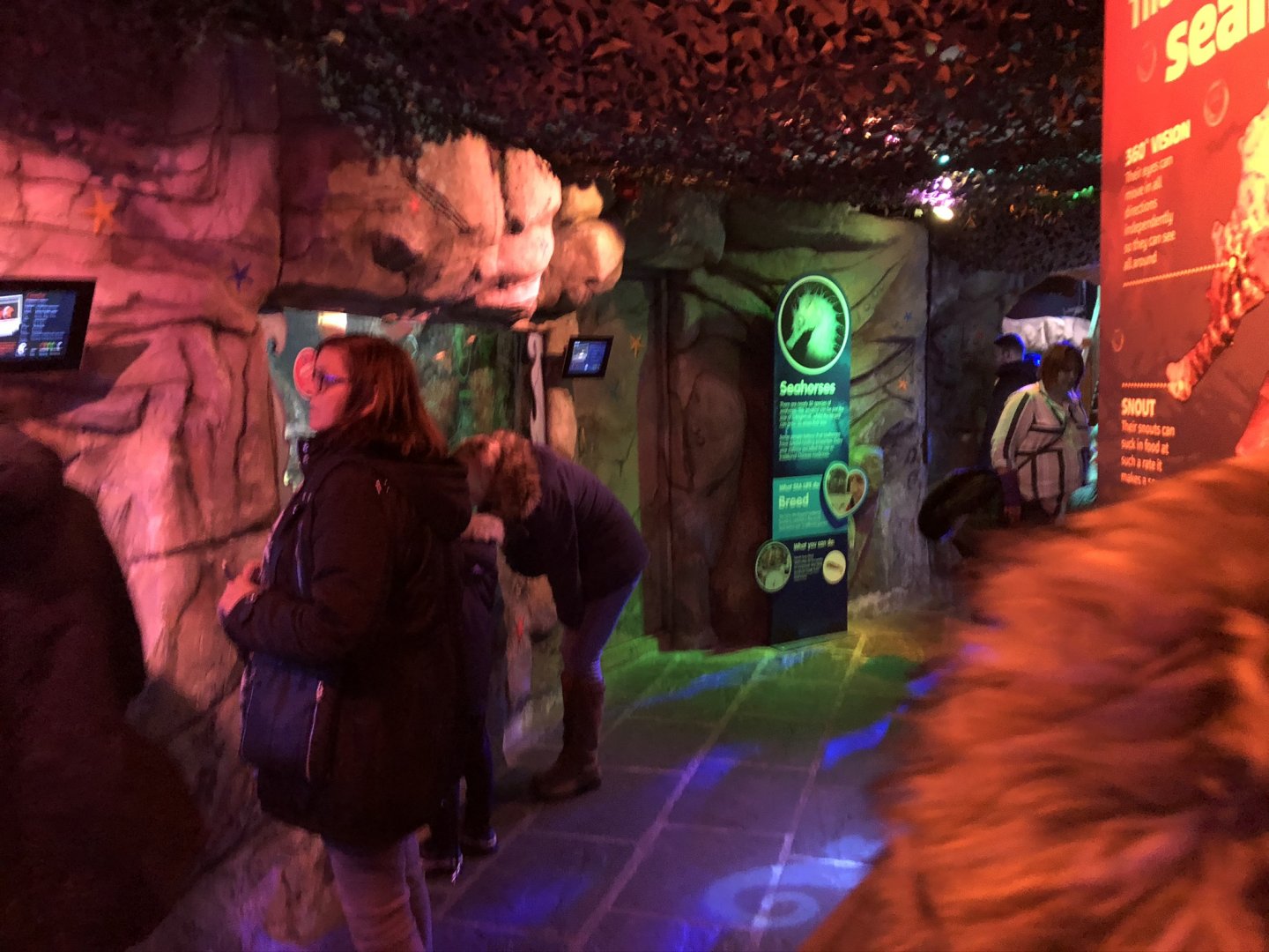 General View of Kingdom of the Seahorse at SEA LIFE Blackpool (2019)
