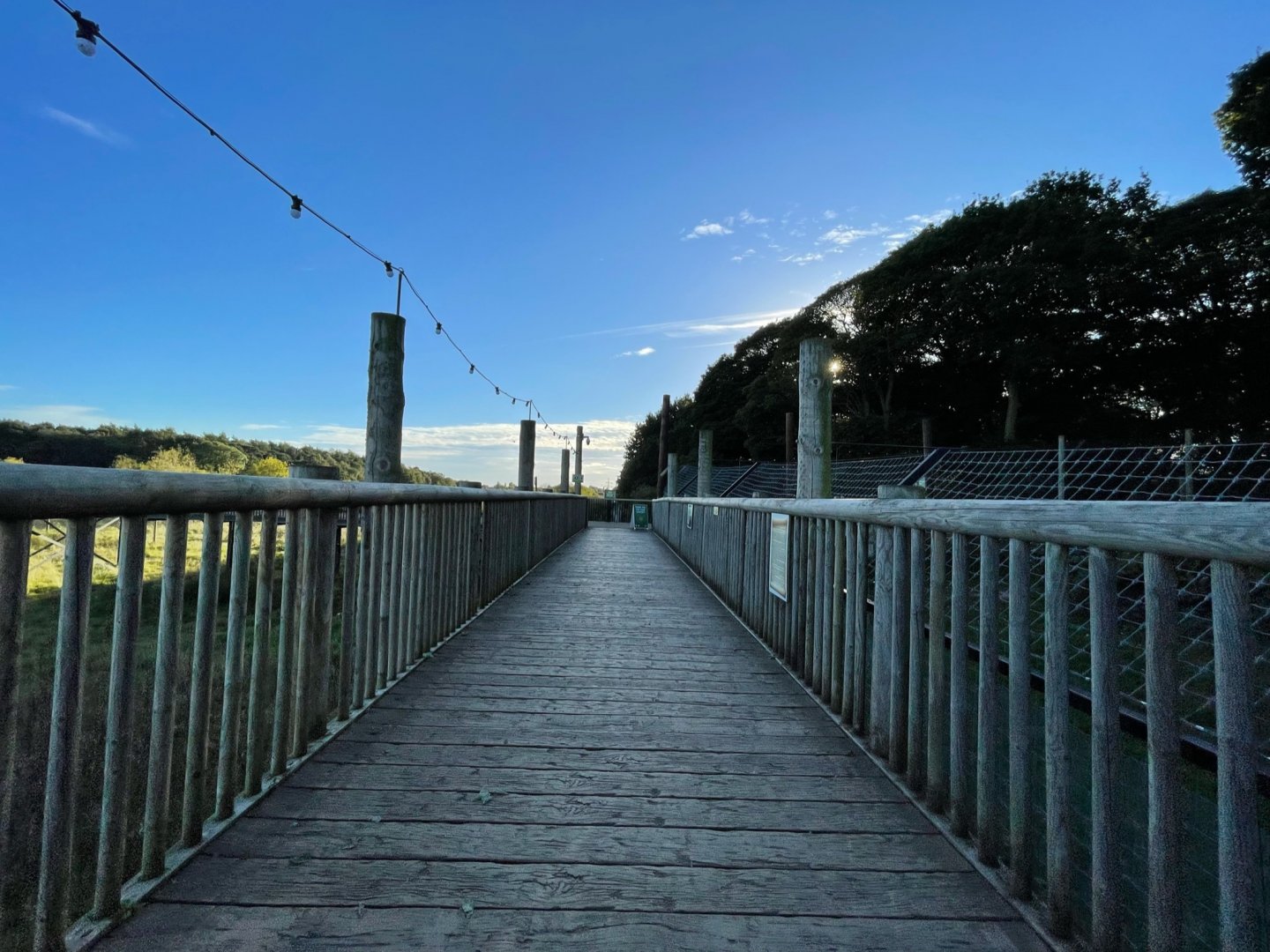 General View of Land of the Tiger at Yorkshire Wildlife Park (October 2021)