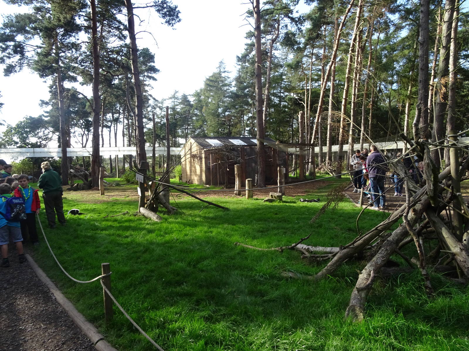General View of Lemur Woods at Yorkshire Wildlife Park