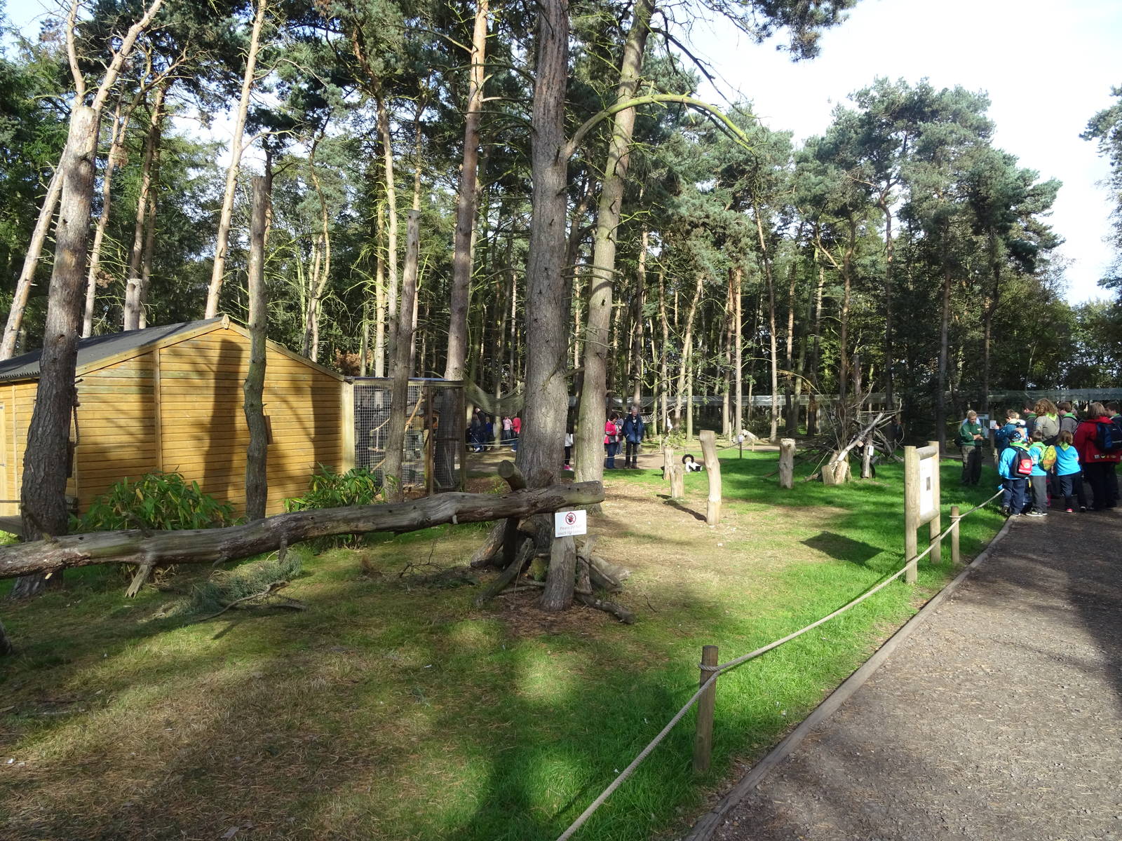 General View of Lemur Woods at Yorkshire Wildlife Park