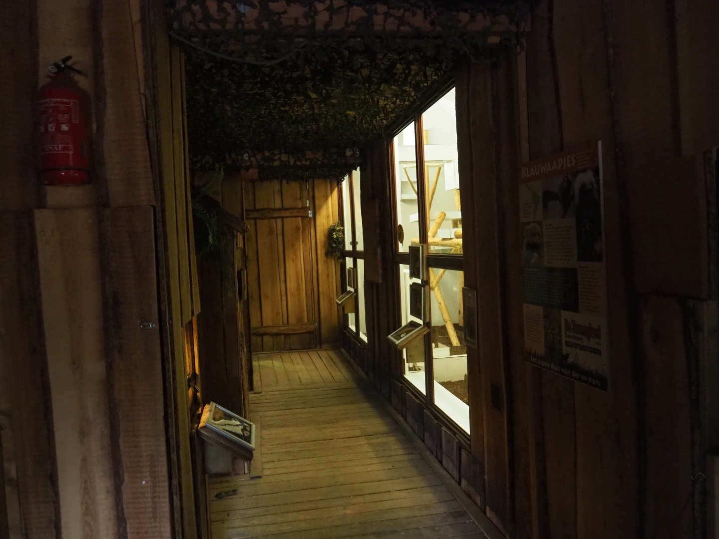 General view of little critter attic