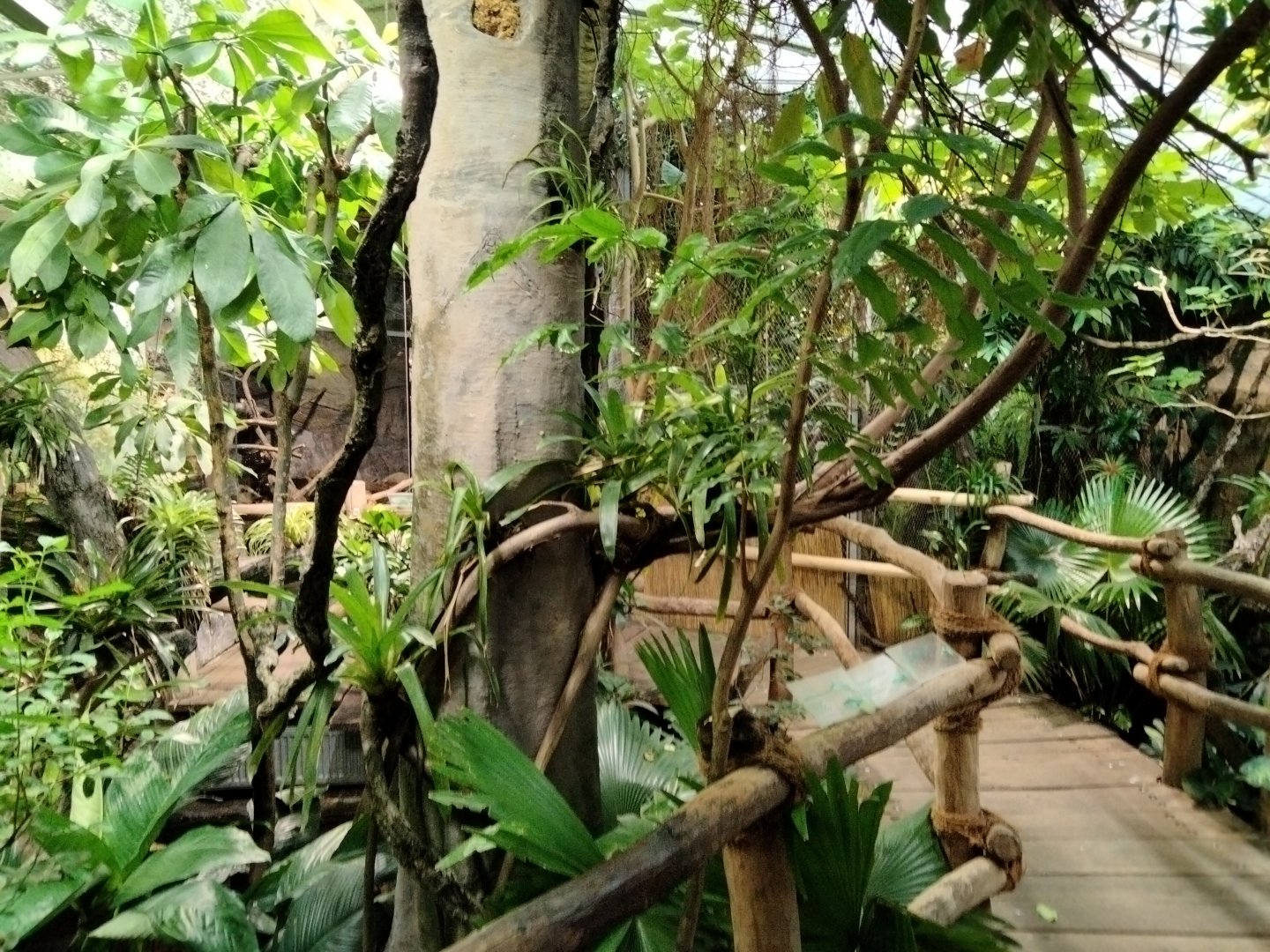 General view of Matamata pavilion