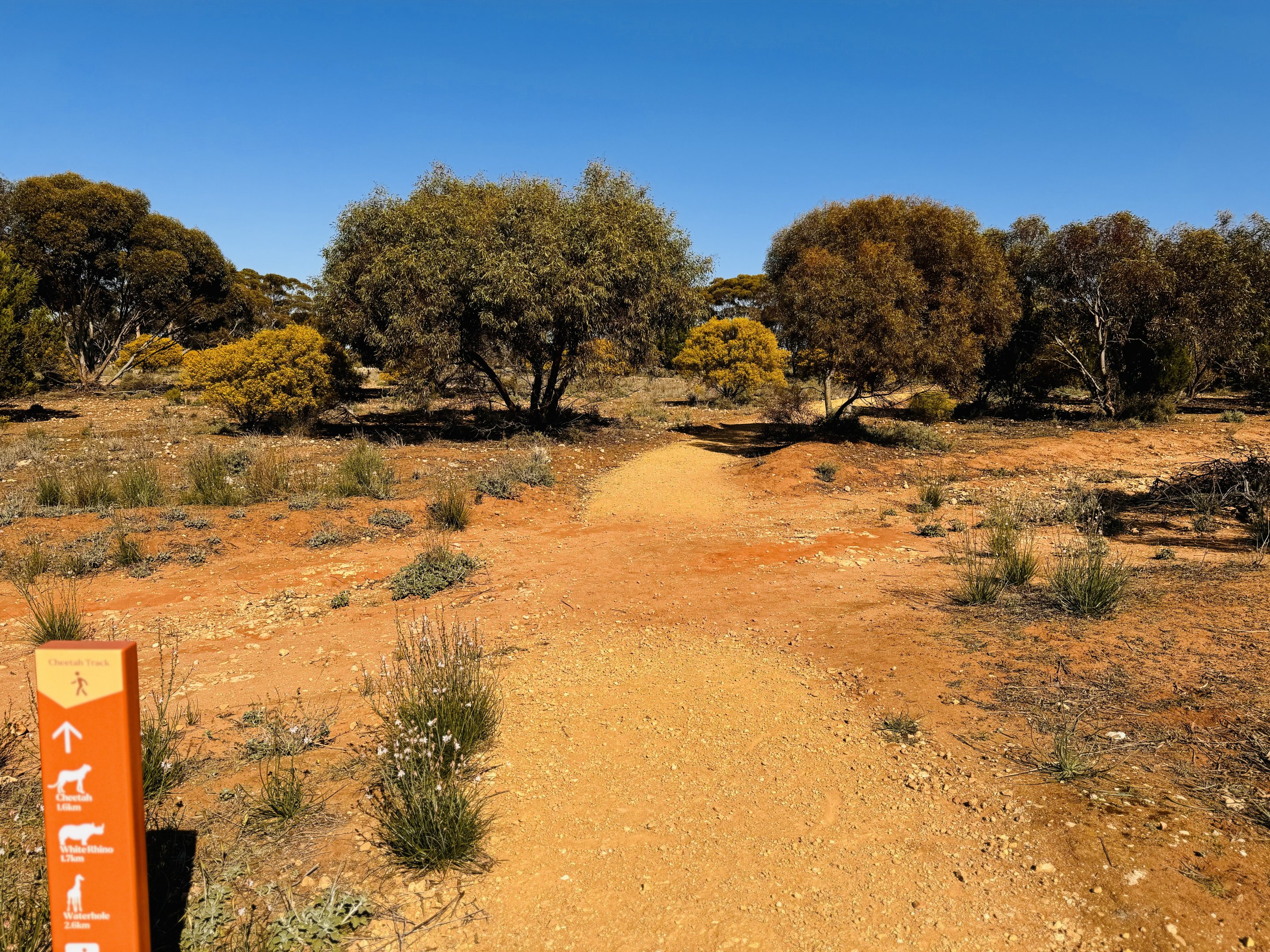 General view of Monarto
