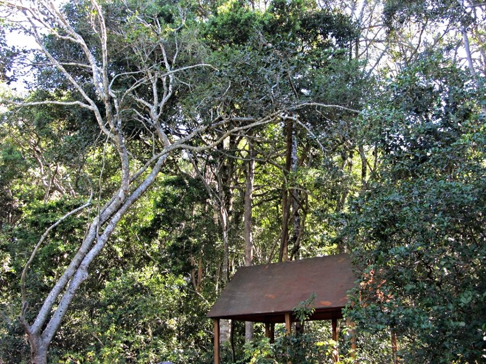 General View of Monkeyland