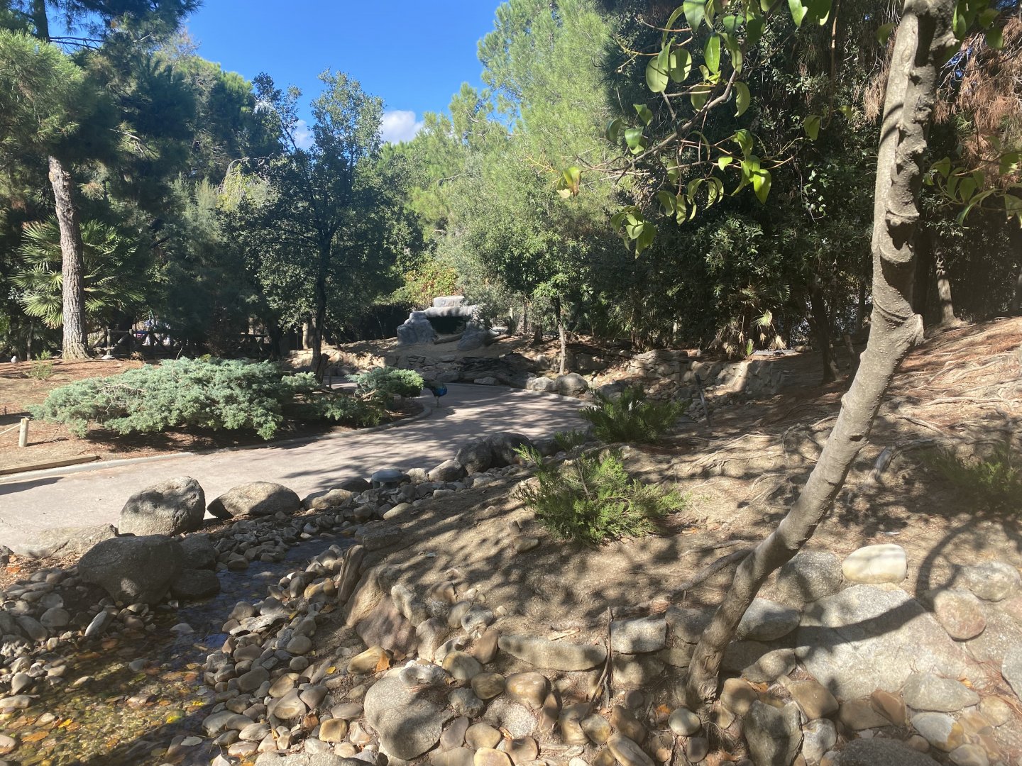 General view of muntjac and bird walkthrough 2