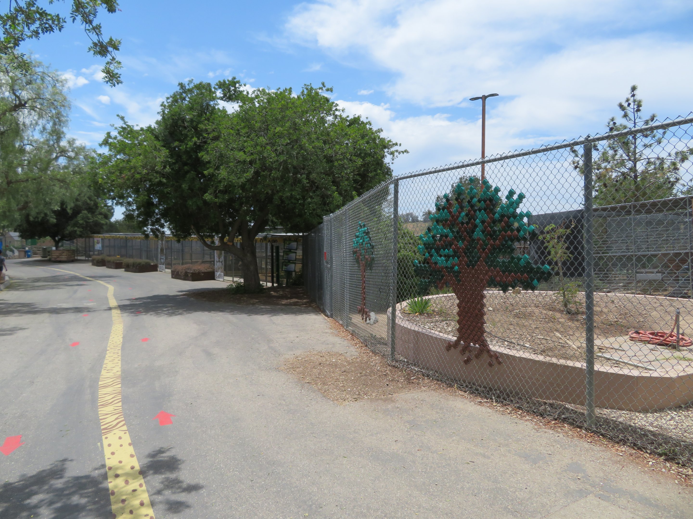 General View of Path