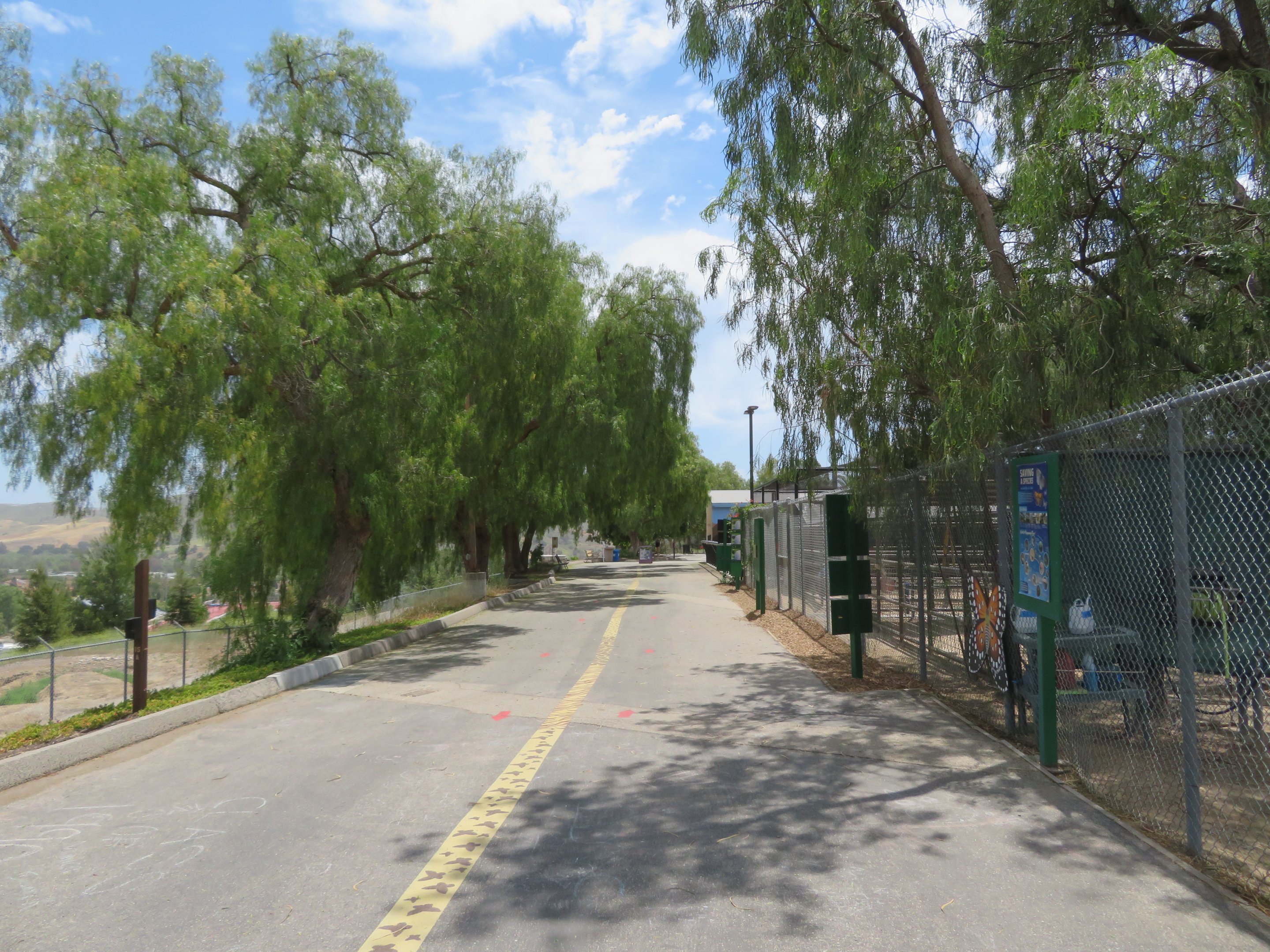 General View of Path