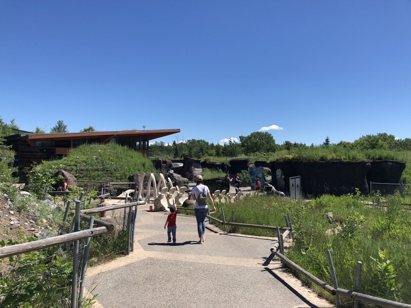 General View of Polar Extremes at Edmonton Valley Zoo (July 2022)