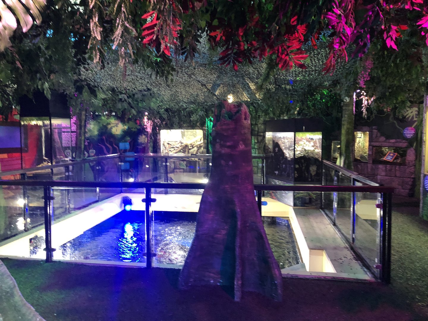 General View of Rainforest Adventure at SEA LIFE Scarborough (September 2022)