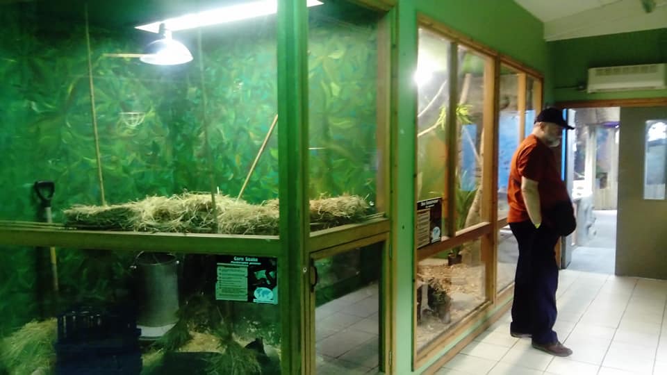 General View Of Reptile Enclosures