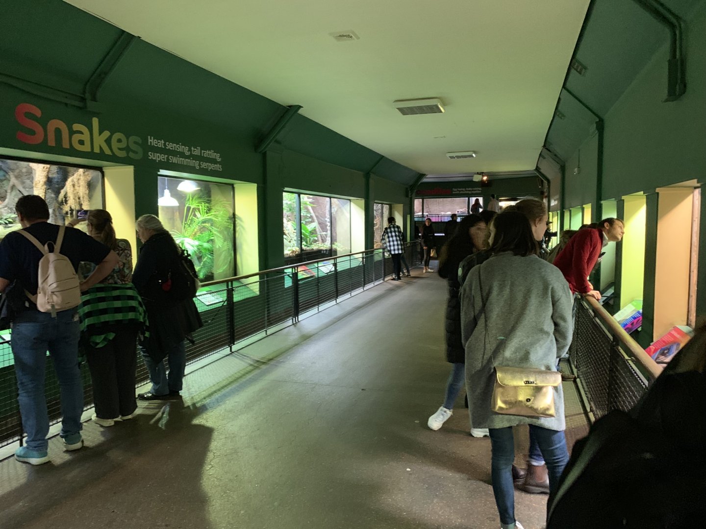 General View of Reptile House at London Zoo (2019)
