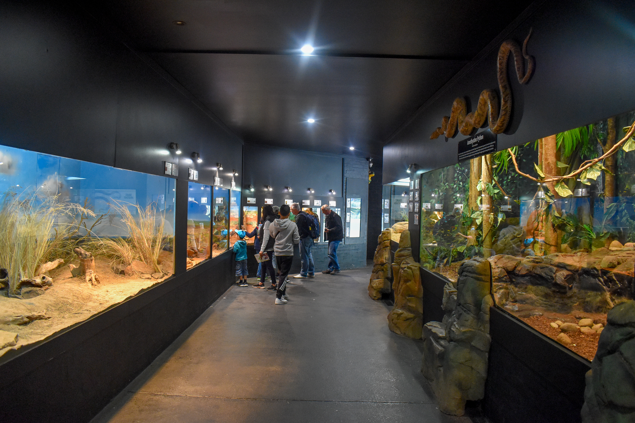 General View of Reptile House