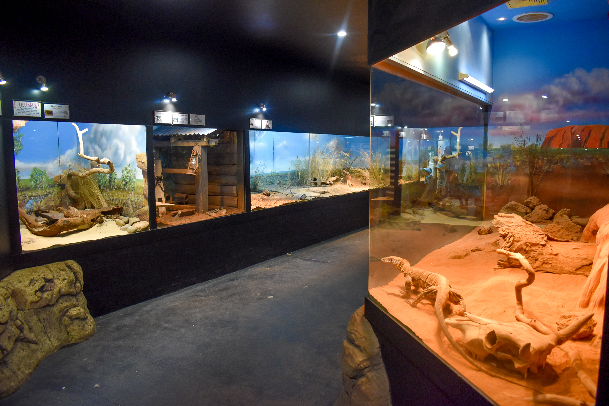 General View of Reptile House