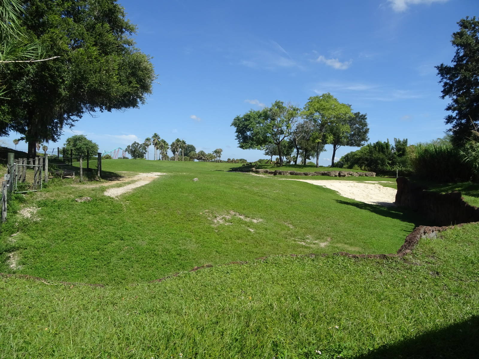 General View of Serengeti Plain at Busch Gardens Tampa