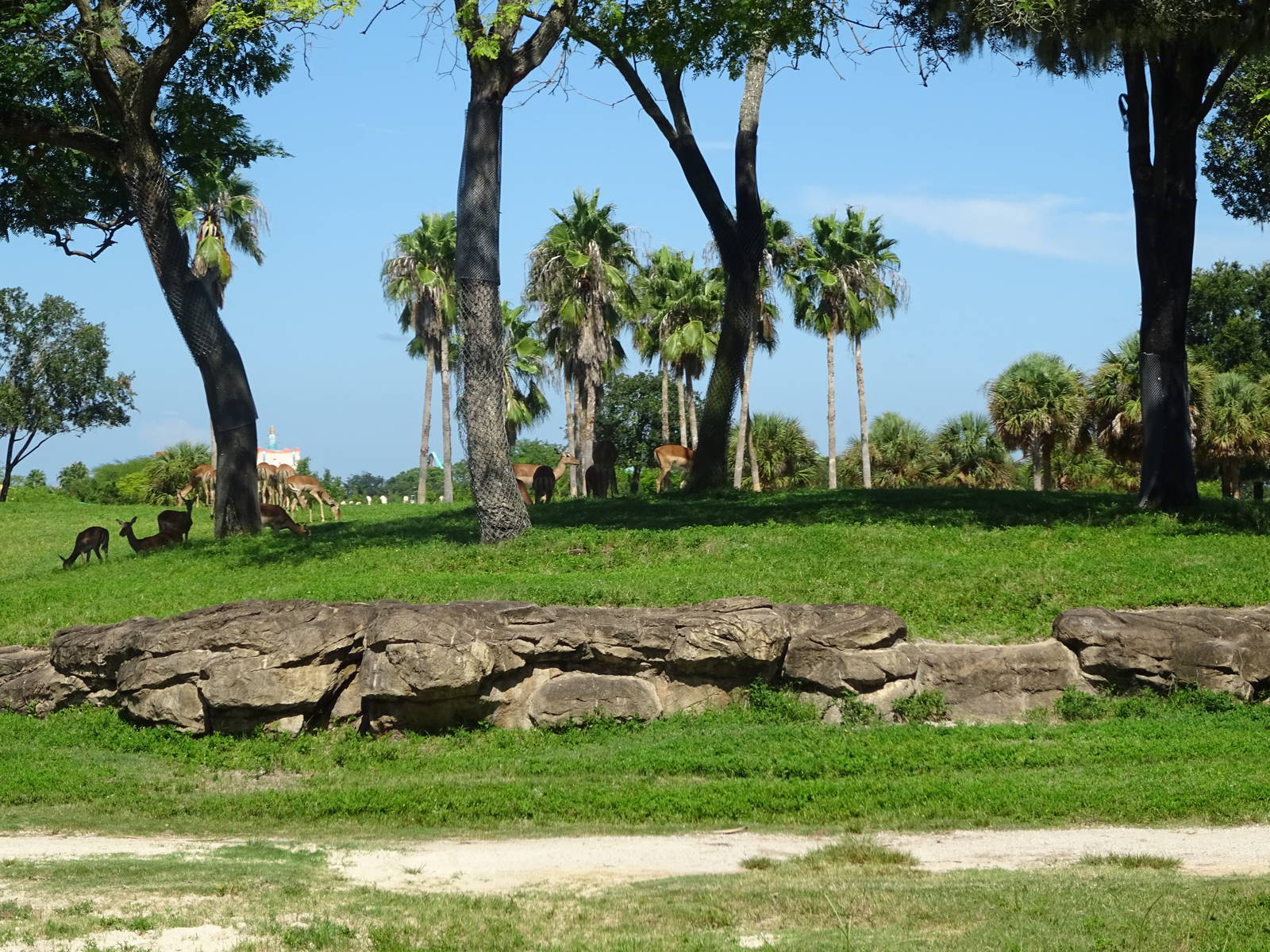 General View of Serengeti Plain at Busch Gardens Tampa