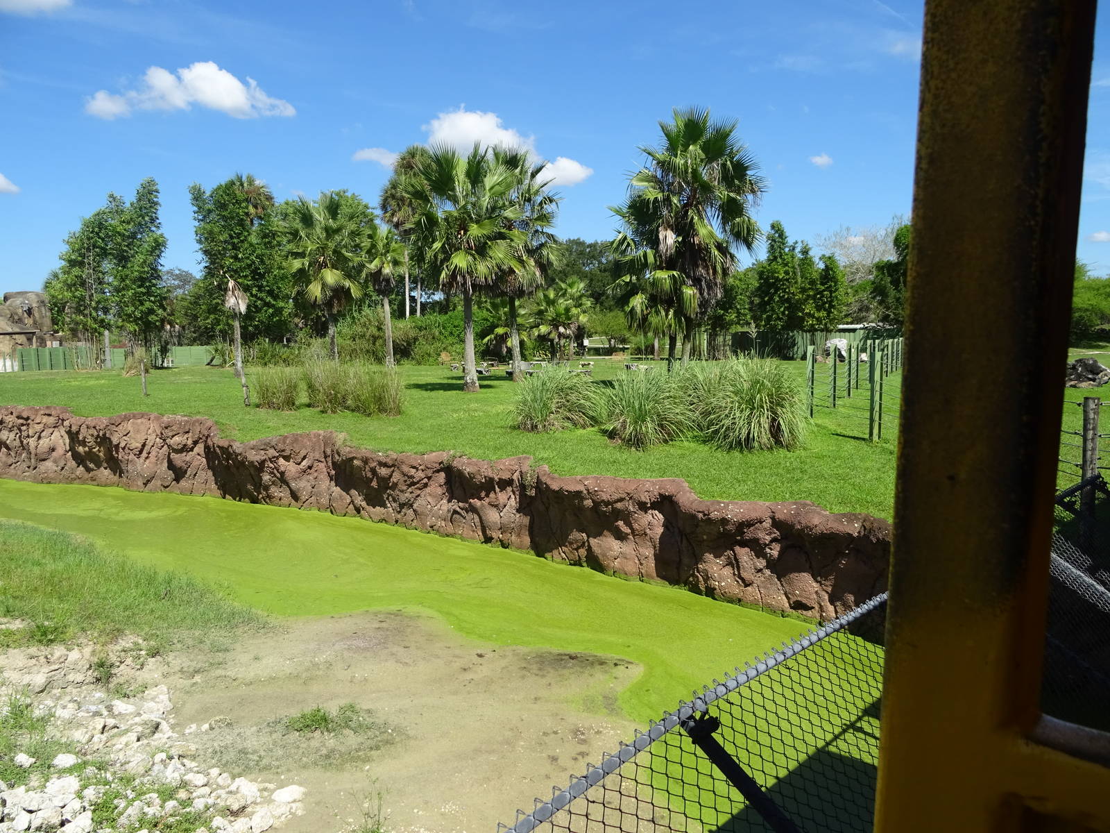 General View of Serengeti Plain at Busch Gardens Tampa