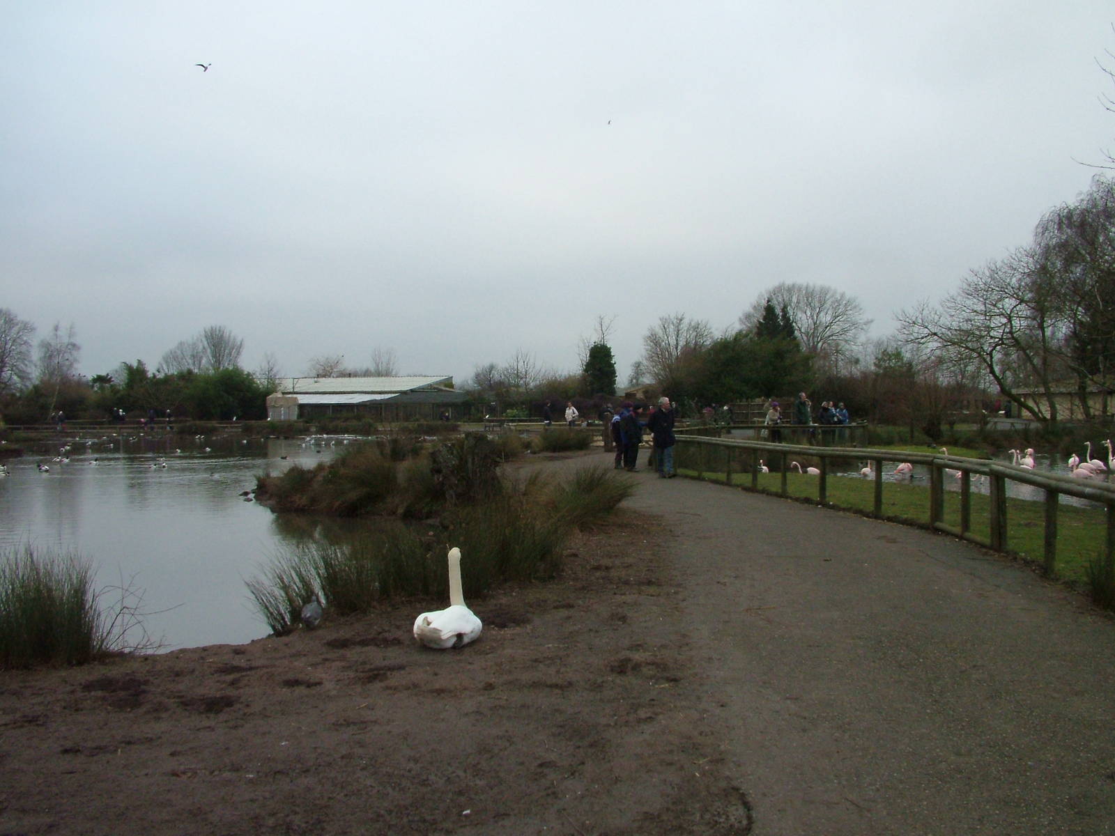 General view of Slimbridge 06/02/10
