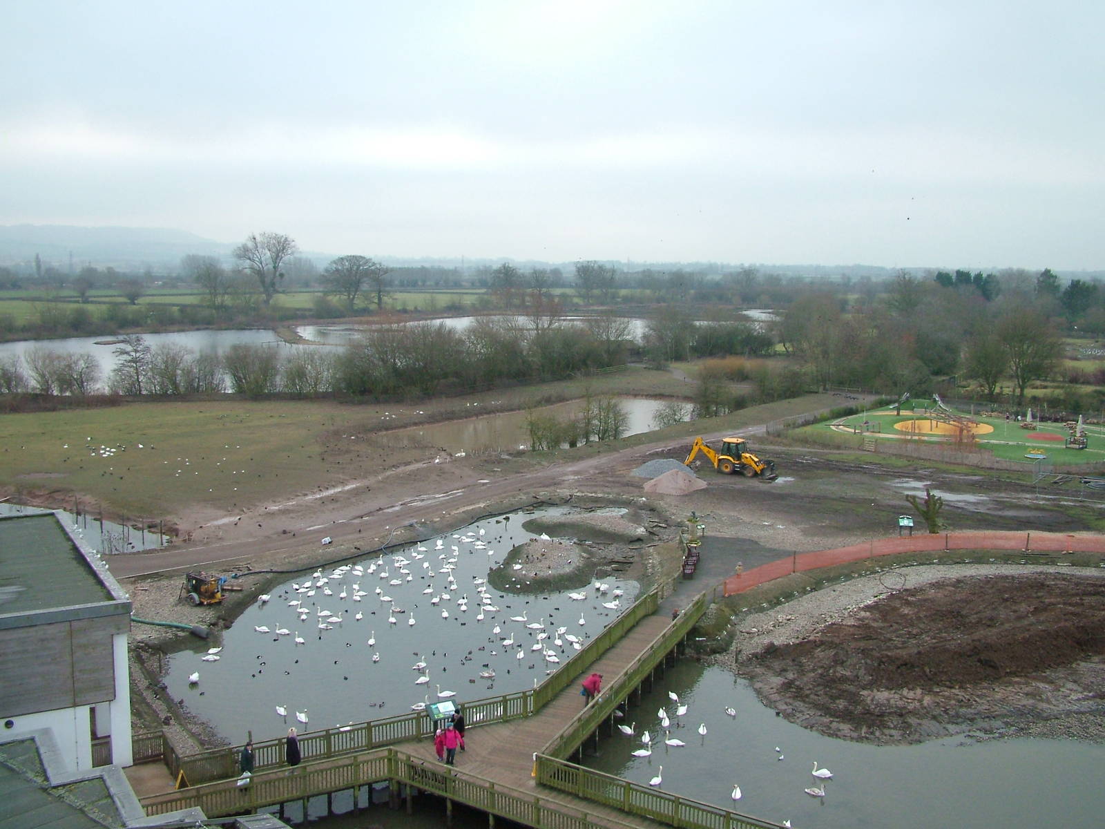 General view of Slimbridge 06/02/10