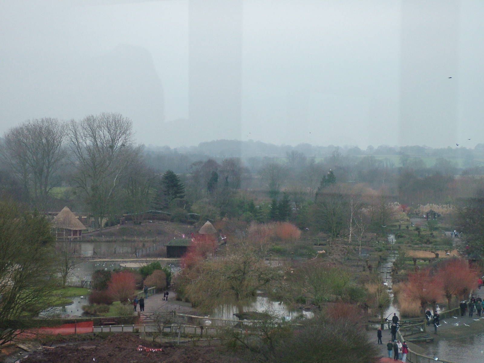 General view of Slimbridge 06/02/10