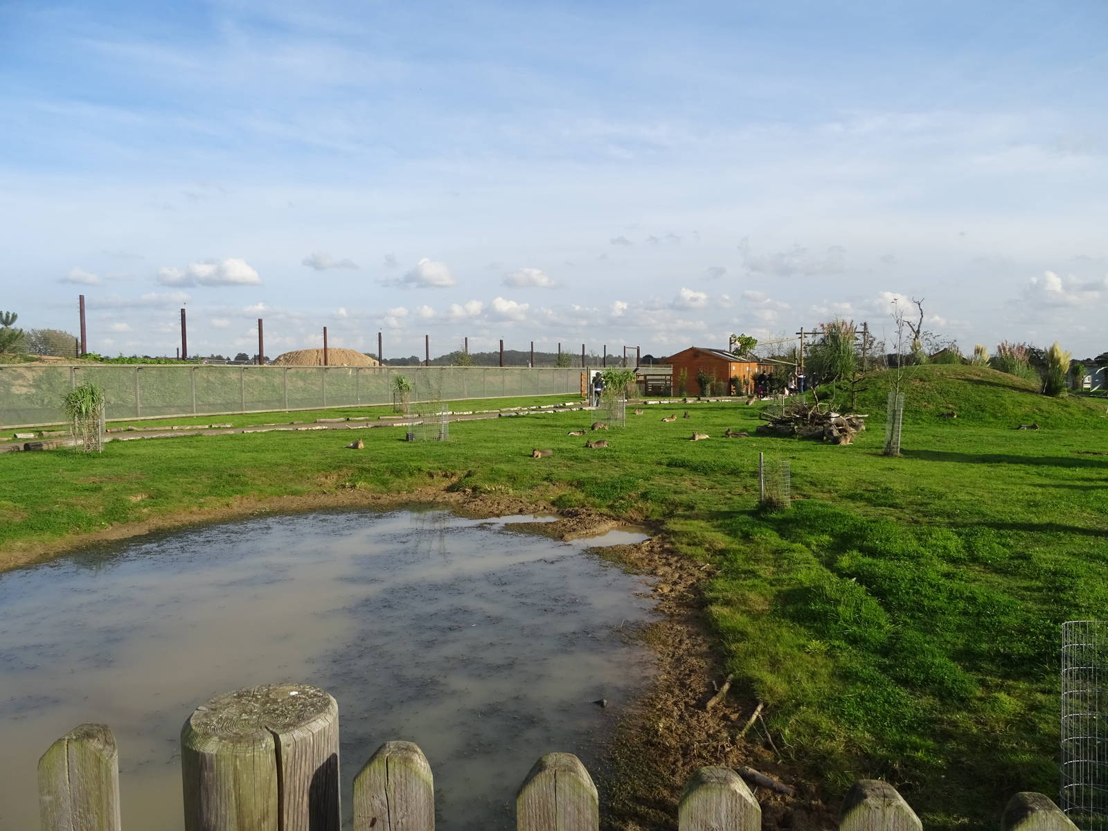 General View of South America Viva at Yorkshire Wildlife Park