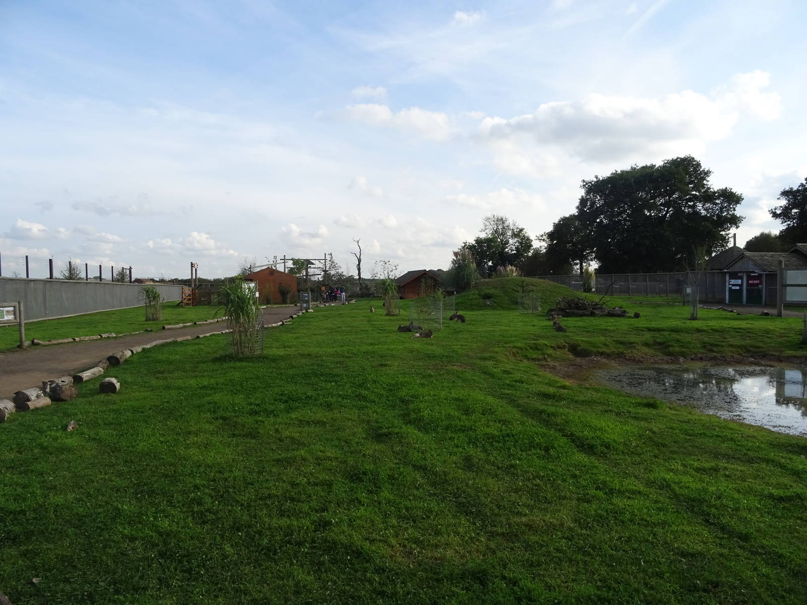 General View of South America Viva at Yorkshire Wildlife Park