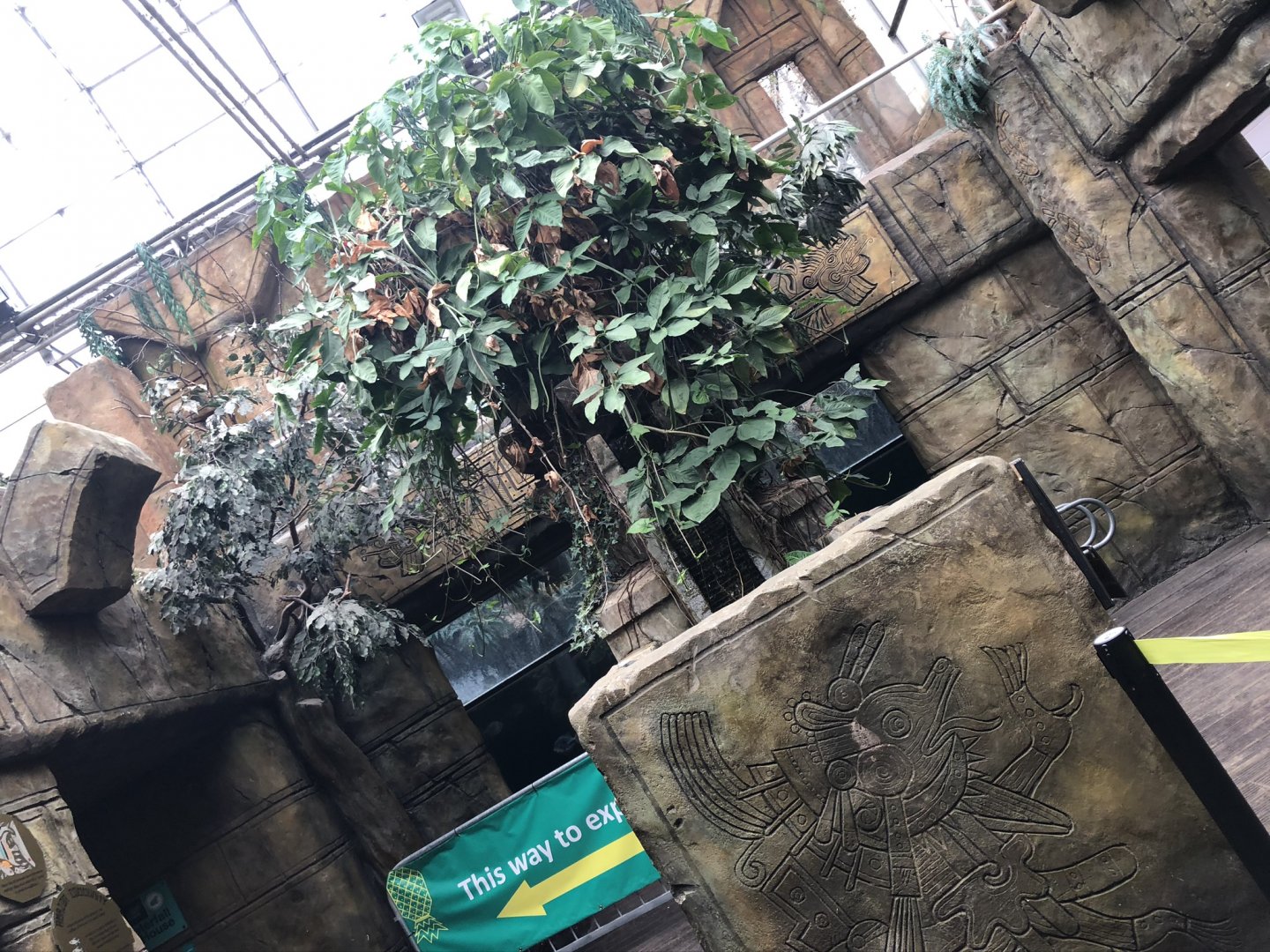 General View of the Aquarium Section at Tropical World (July 2020)