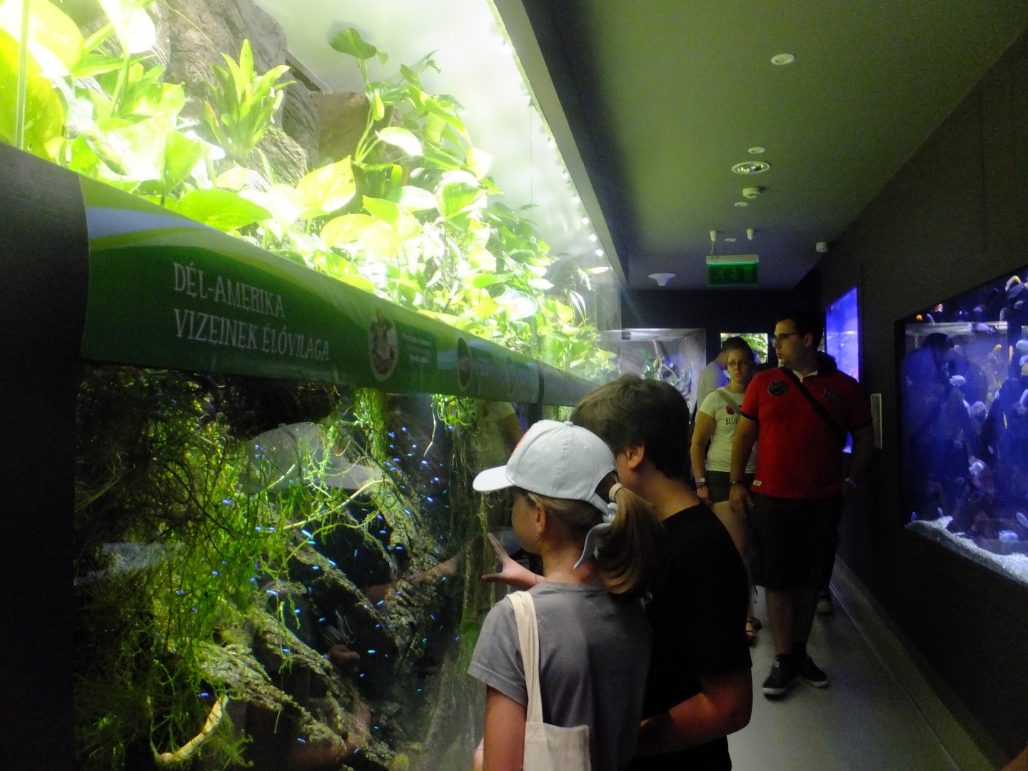 General view of the aquarium