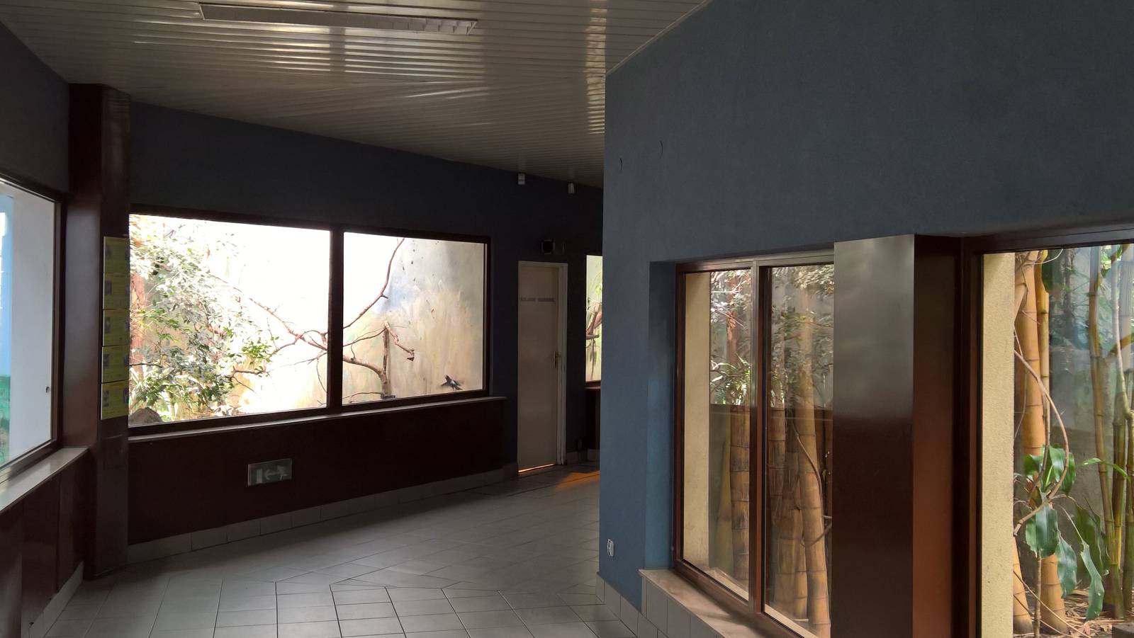 General view of the Bird house