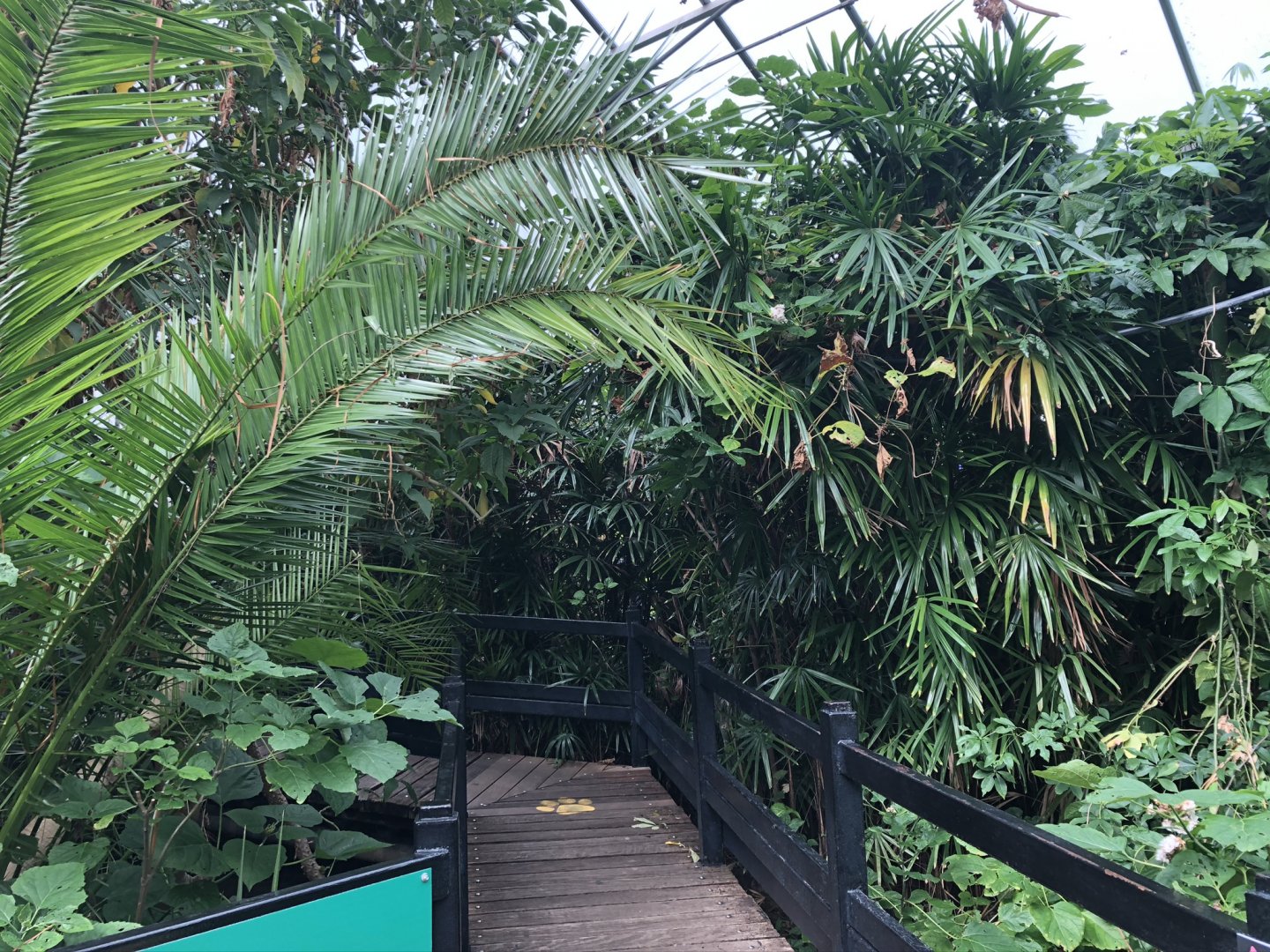 General View of the Butterfly House at Tropical World (July 2020)