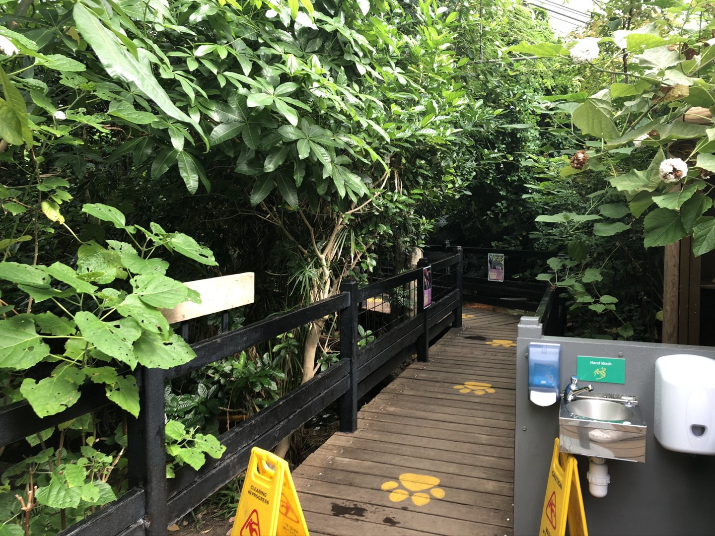 General View of the Butterfly House at Tropical World (July 2020)