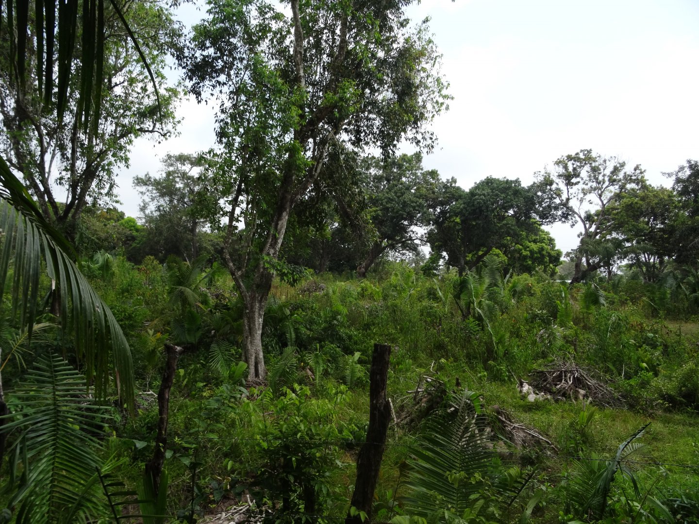 General View of the Community Baboon Sanctuary