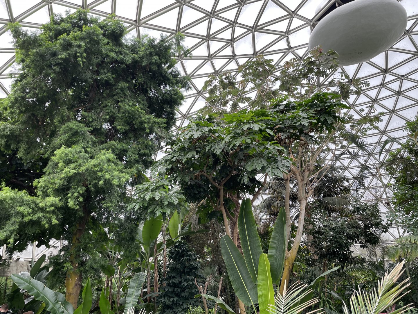 General View of the Conservatory