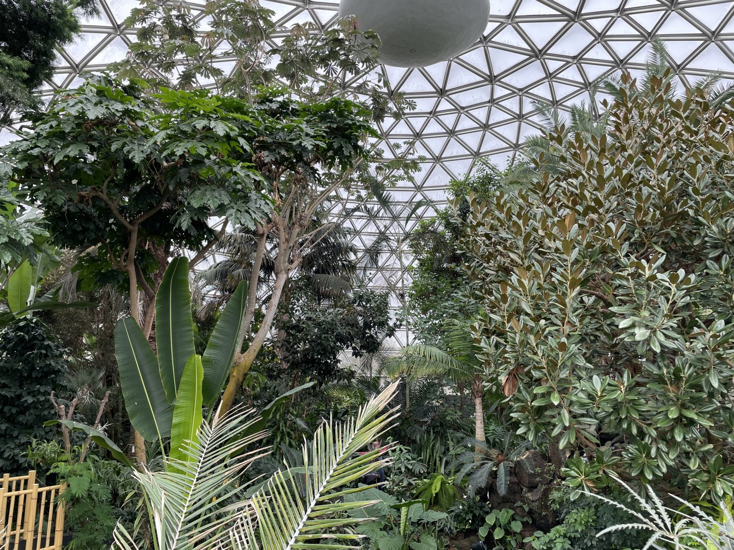 General View of the Conservatory